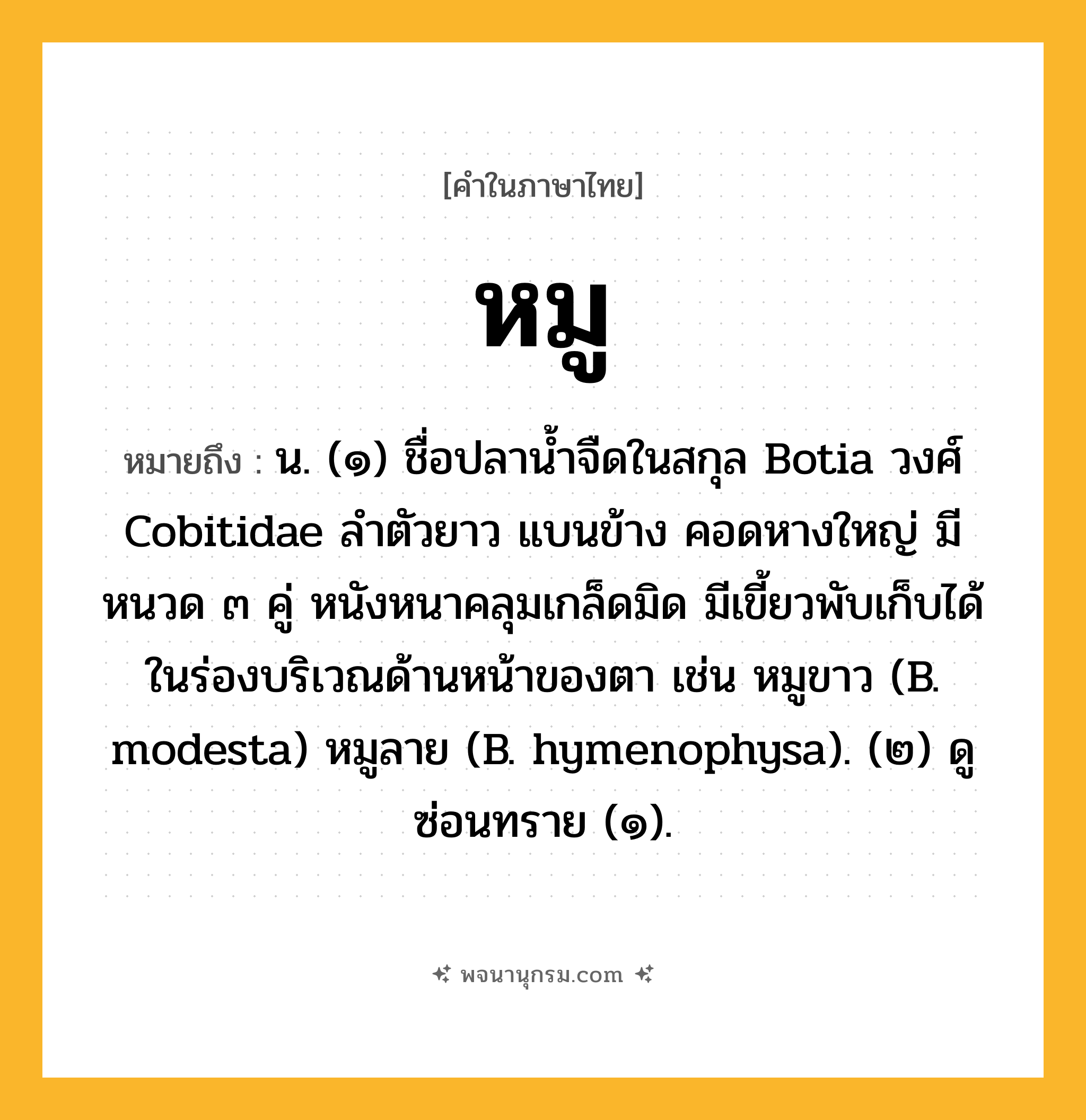 หมู ความหมาย หมายถึงอะไร?, คำในภาษาไทย หมู หมายถึง น. (๑) ชื่อปลานํ้าจืดในสกุล Botia วงศ์ Cobitidae ลําตัวยาว แบนข้าง คอดหางใหญ่ มีหนวด ๓ คู่ หนังหนาคลุมเกล็ดมิด มีเขี้ยวพับเก็บได้ในร่องบริเวณด้านหน้าของตา เช่น หมูขาว (B. modesta) หมูลาย (B. hymenophysa). (๒) ดู ซ่อนทราย (๑).