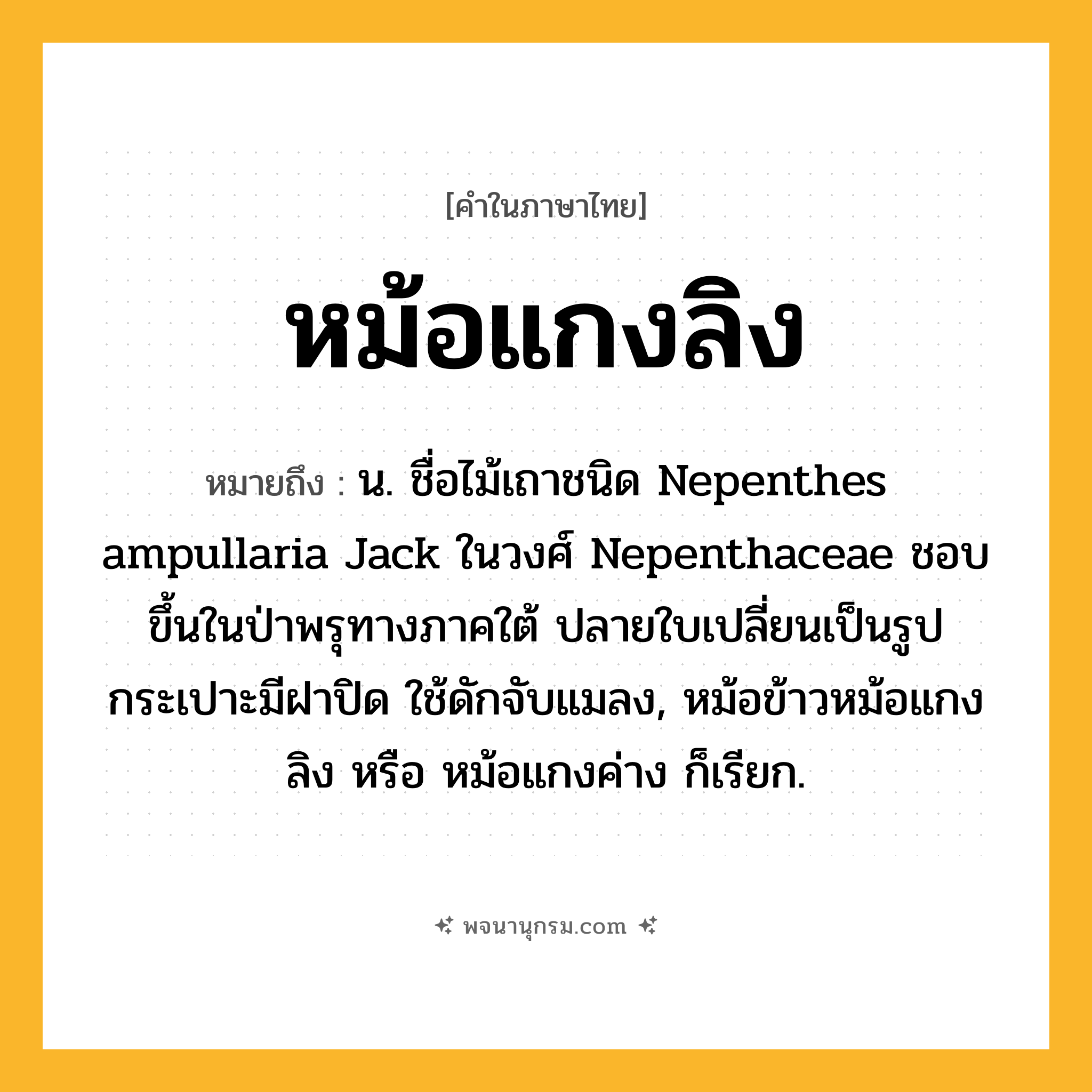 หม้อแกงลิง ความหมาย หมายถึงอะไร?, คำในภาษาไทย หม้อแกงลิง หมายถึง น. ชื่อไม้เถาชนิด Nepenthes ampullaria Jack ในวงศ์ Nepenthaceae ชอบขึ้นในป่าพรุทางภาคใต้ ปลายใบเปลี่ยนเป็นรูปกระเปาะมีฝาปิด ใช้ดักจับแมลง, หม้อข้าวหม้อแกงลิง หรือ หม้อแกงค่าง ก็เรียก.
