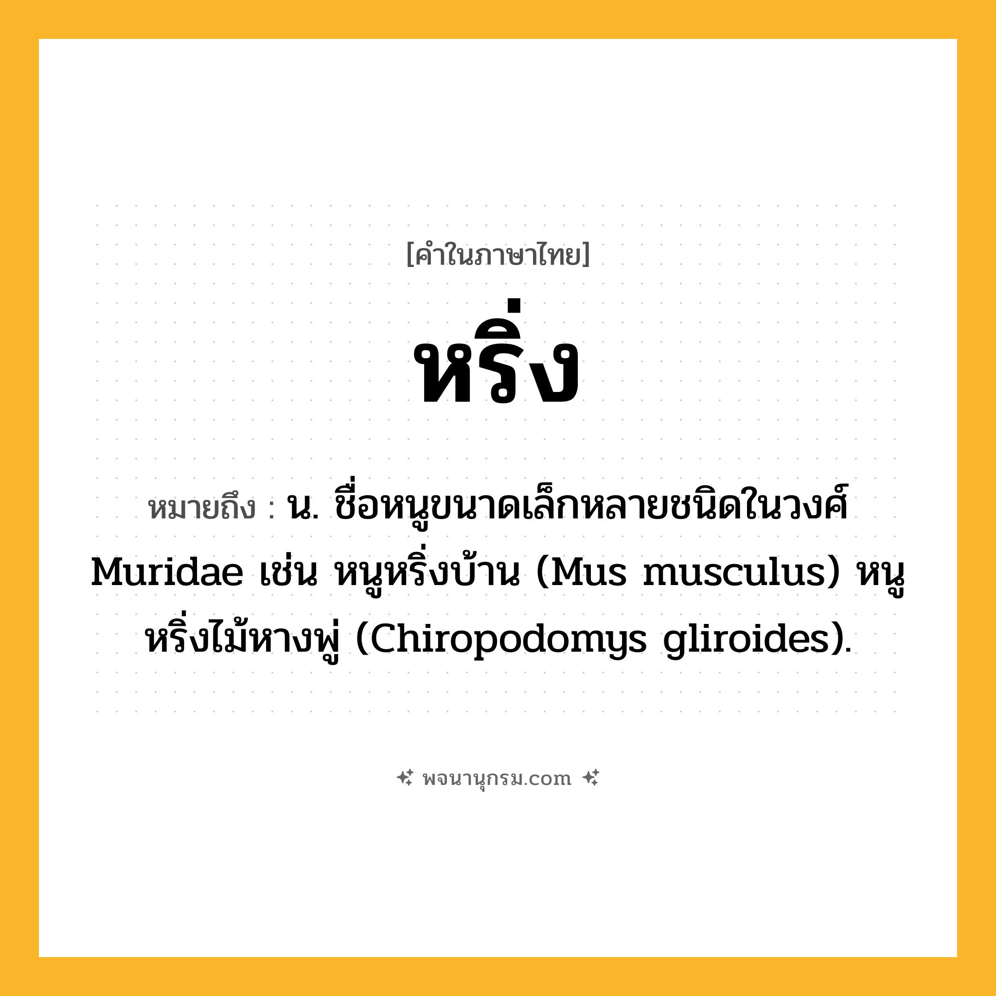 หริ่ง ความหมาย หมายถึงอะไร?, คำในภาษาไทย หริ่ง หมายถึง น. ชื่อหนูขนาดเล็กหลายชนิดในวงศ์ Muridae เช่น หนูหริ่งบ้าน (Mus musculus) หนูหริ่งไม้หางพู่ (Chiropodomys gliroides).