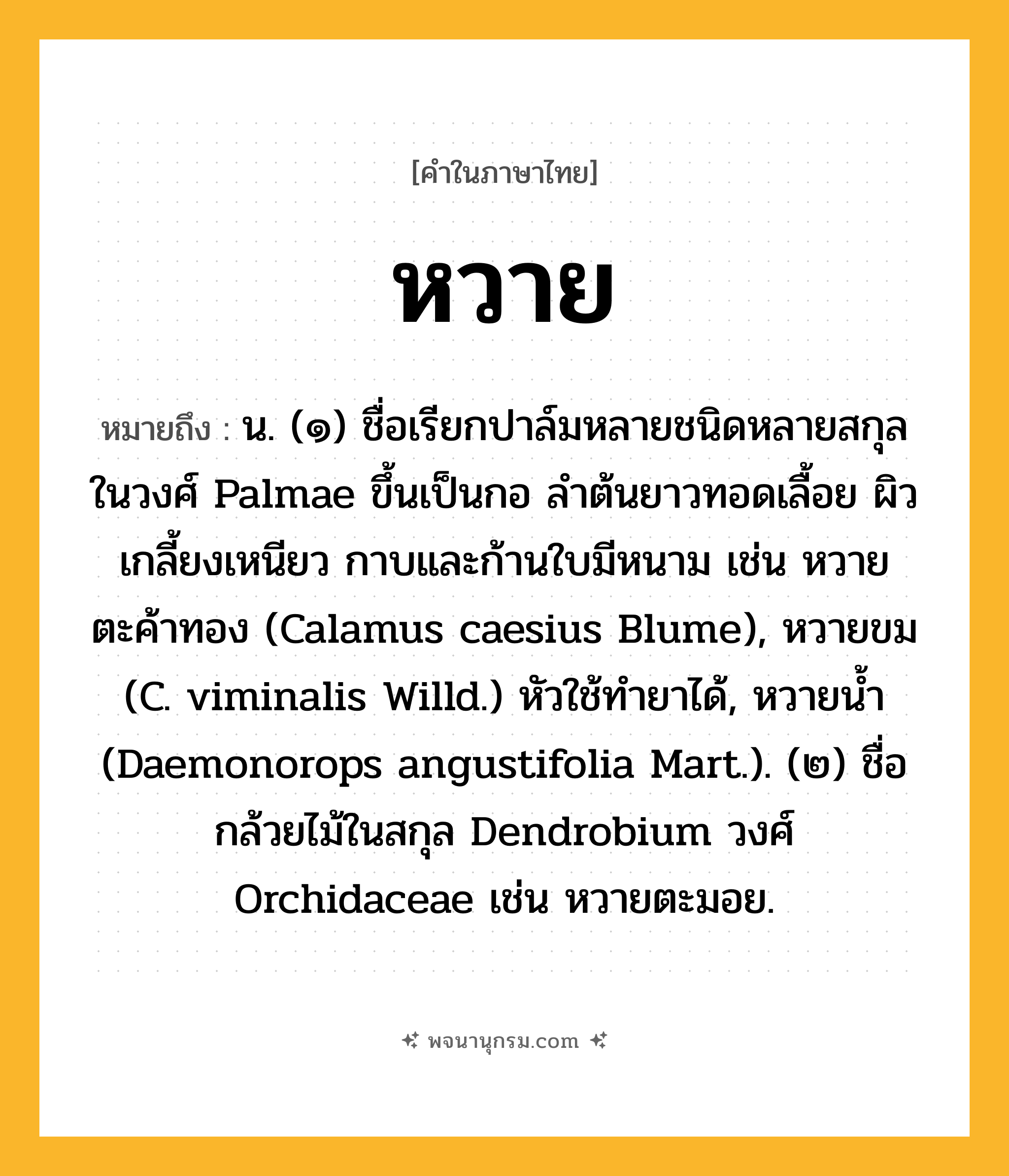 หวาย ความหมาย หมายถึงอะไร?, คำในภาษาไทย หวาย หมายถึง น. (๑) ชื่อเรียกปาล์มหลายชนิดหลายสกุลในวงศ์ Palmae ขึ้นเป็นกอ ลําต้นยาวทอดเลื้อย ผิวเกลี้ยงเหนียว กาบและก้านใบมีหนาม เช่น หวายตะค้าทอง (Calamus caesius Blume), หวายขม (C. viminalis Willd.) หัวใช้ทํายาได้, หวายนํ้า (Daemonorops angustifolia Mart.). (๒) ชื่อกล้วยไม้ในสกุล Dendrobium วงศ์ Orchidaceae เช่น หวายตะมอย.