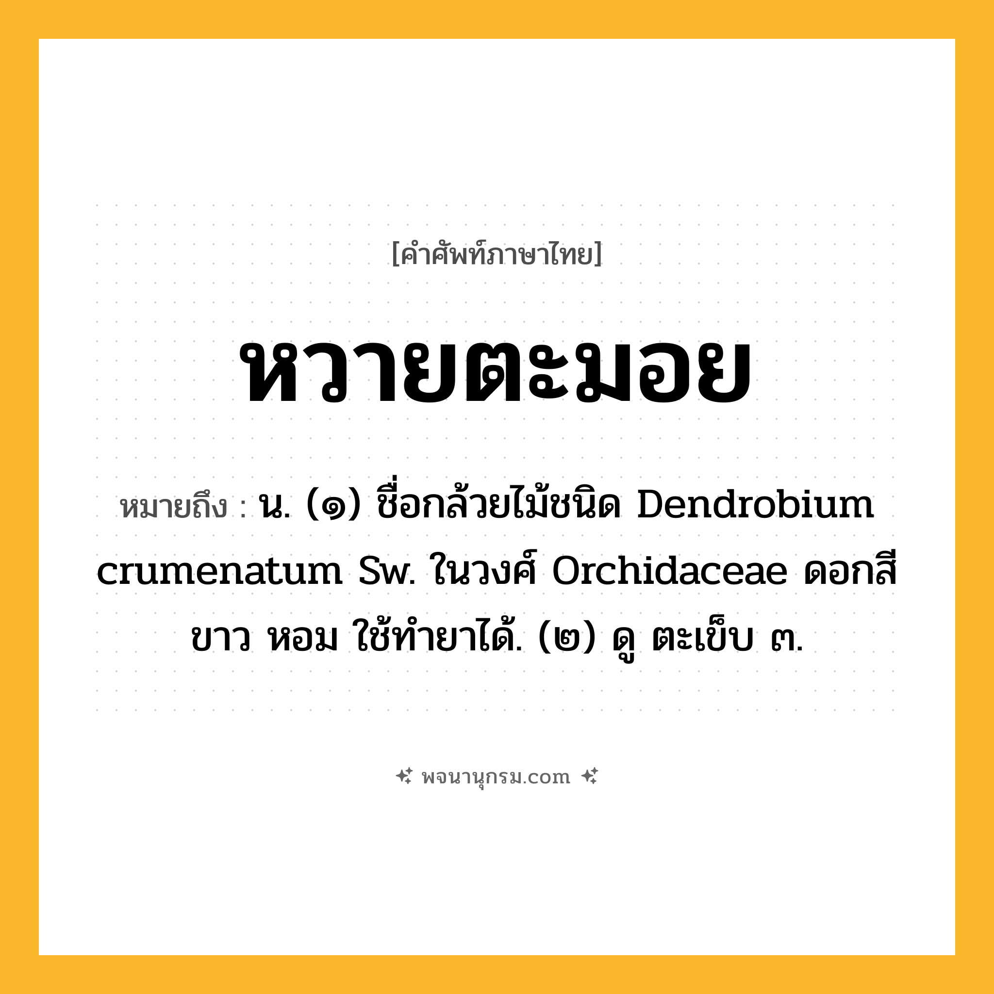 หวายตะมอย ความหมาย หมายถึงอะไร?, คำในภาษาไทย หวายตะมอย หมายถึง น. (๑) ชื่อกล้วยไม้ชนิด Dendrobium crumenatum Sw. ในวงศ์ Orchidaceae ดอกสีขาว หอม ใช้ทํายาได้. (๒) ดู ตะเข็บ ๓.