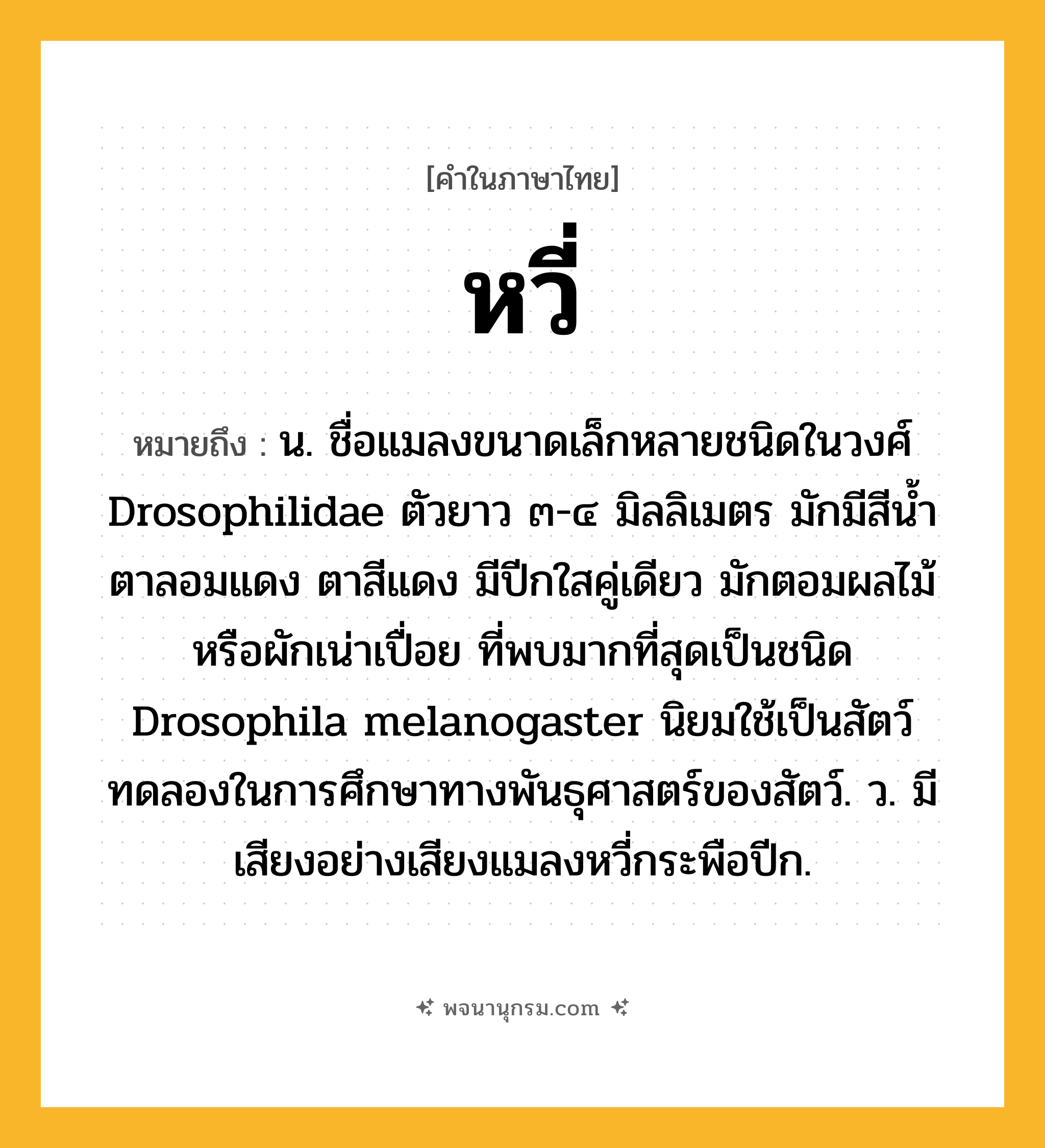 หวี่ ความหมาย หมายถึงอะไร?, คำในภาษาไทย หวี่ หมายถึง น. ชื่อแมลงขนาดเล็กหลายชนิดในวงศ์ Drosophilidae ตัวยาว ๓-๔ มิลลิเมตร มักมีสีนํ้าตาลอมแดง ตาสีแดง มีปีกใสคู่เดียว มักตอมผลไม้หรือผักเน่าเปื่อย ที่พบมากที่สุดเป็นชนิด Drosophila melanogaster นิยมใช้เป็นสัตว์ทดลองในการศึกษาทางพันธุศาสตร์ของสัตว์. ว. มีเสียงอย่างเสียงแมลงหวี่กระพือปีก.