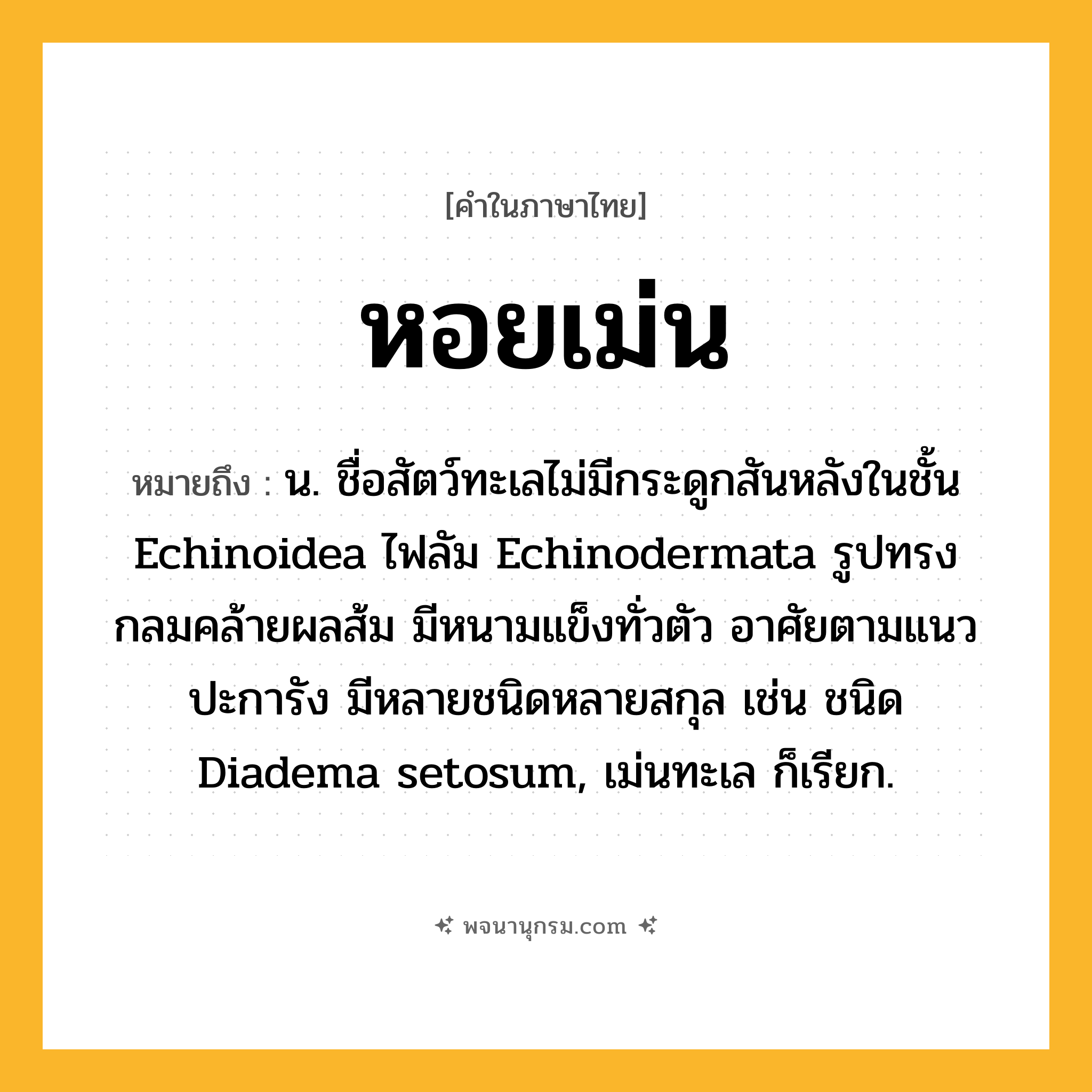 หอยเม่น ความหมาย หมายถึงอะไร?, คำในภาษาไทย หอยเม่น หมายถึง น. ชื่อสัตว์ทะเลไม่มีกระดูกสันหลังในชั้น Echinoidea ไฟลัม Echinodermata รูปทรงกลมคล้ายผลส้ม มีหนามแข็งทั่วตัว อาศัยตามแนวปะการัง มีหลายชนิดหลายสกุล เช่น ชนิด Diadema setosum, เม่นทะเล ก็เรียก.