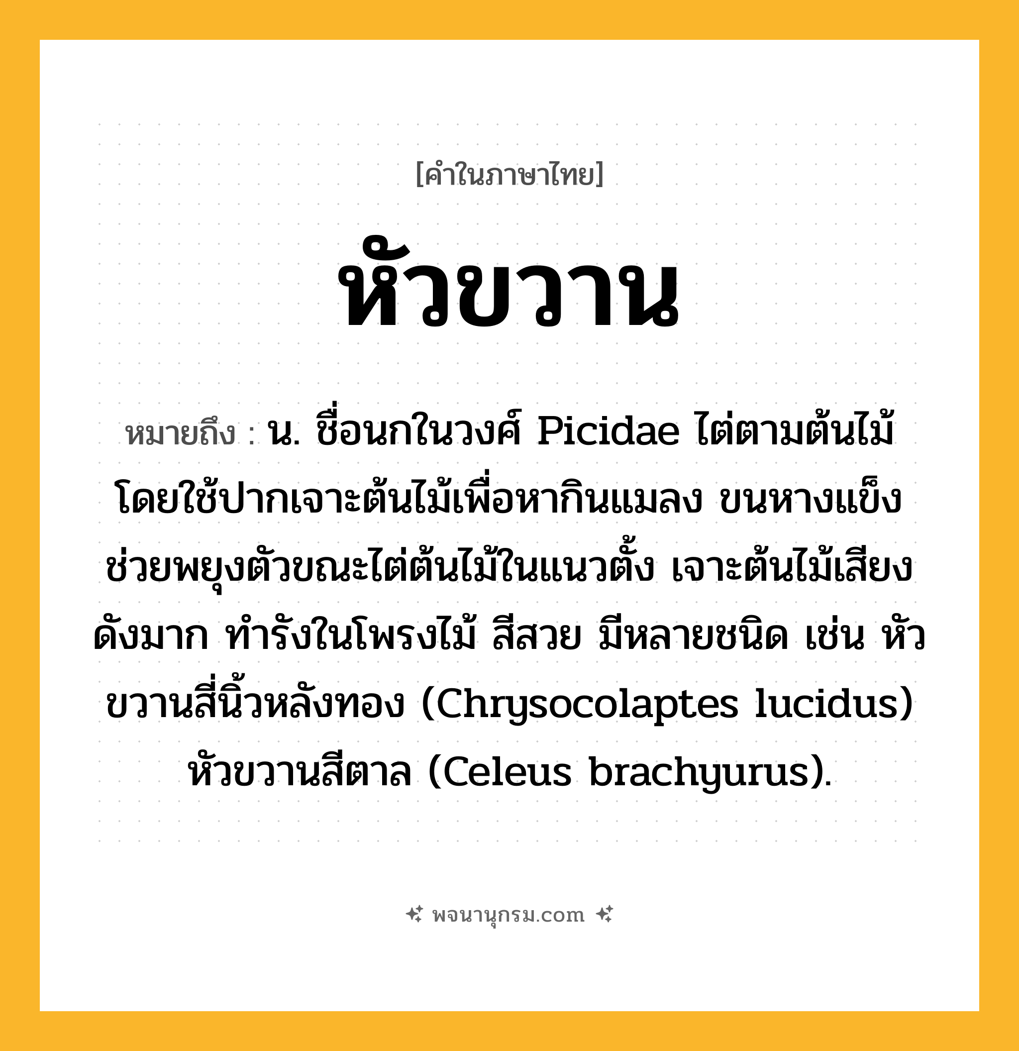 หัวขวาน ความหมาย หมายถึงอะไร?, คำในภาษาไทย หัวขวาน หมายถึง น. ชื่อนกในวงศ์ Picidae ไต่ตามต้นไม้ โดยใช้ปากเจาะต้นไม้เพื่อหากินแมลง ขนหางแข็งช่วยพยุงตัวขณะไต่ต้นไม้ในแนวตั้ง เจาะต้นไม้เสียงดังมาก ทํารังในโพรงไม้ สีสวย มีหลายชนิด เช่น หัวขวานสี่นิ้วหลังทอง (Chrysocolaptes lucidus) หัวขวานสีตาล (Celeus brachyurus).