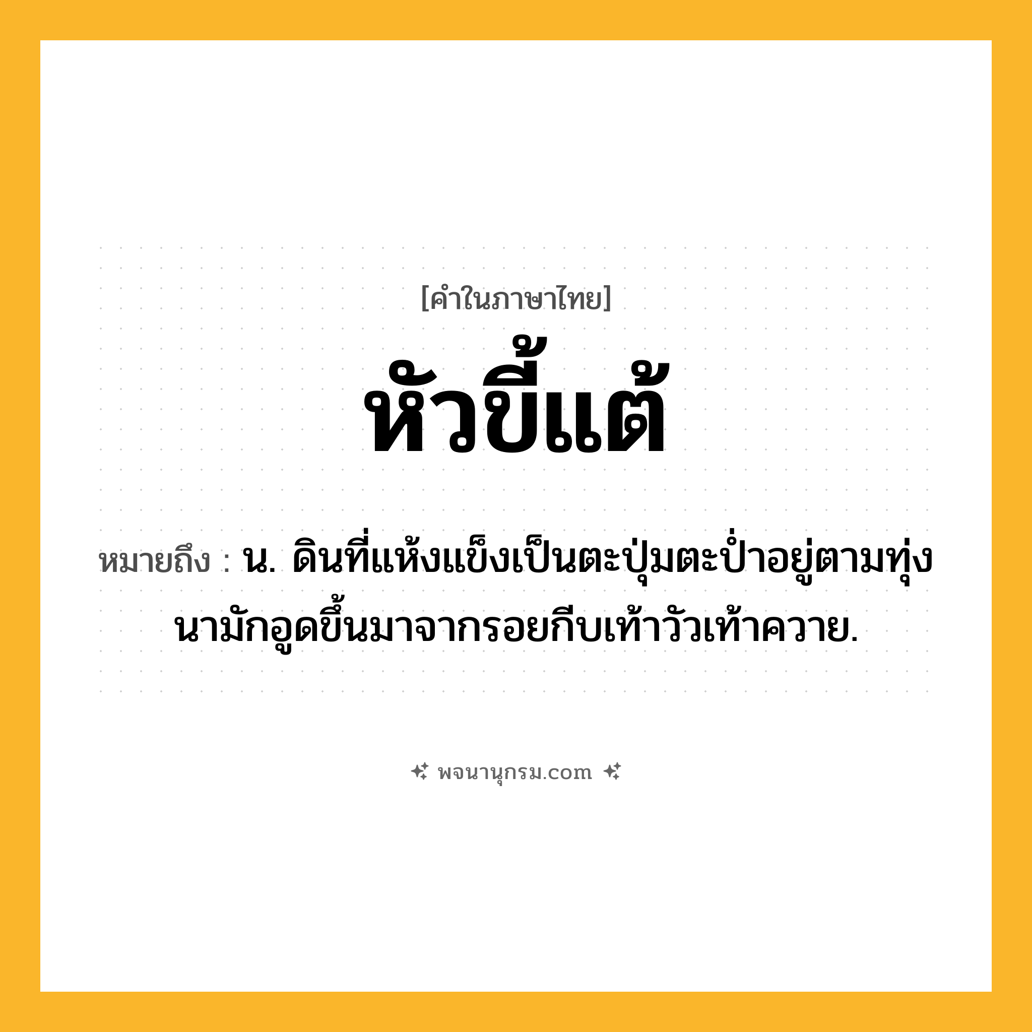 หัวขี้แต้ ความหมาย หมายถึงอะไร?, คำในภาษาไทย หัวขี้แต้ หมายถึง น. ดินที่แห้งแข็งเป็นตะปุ่มตะปํ่าอยู่ตามทุ่งนามักอูดขึ้นมาจากรอยกีบเท้าวัวเท้าควาย.