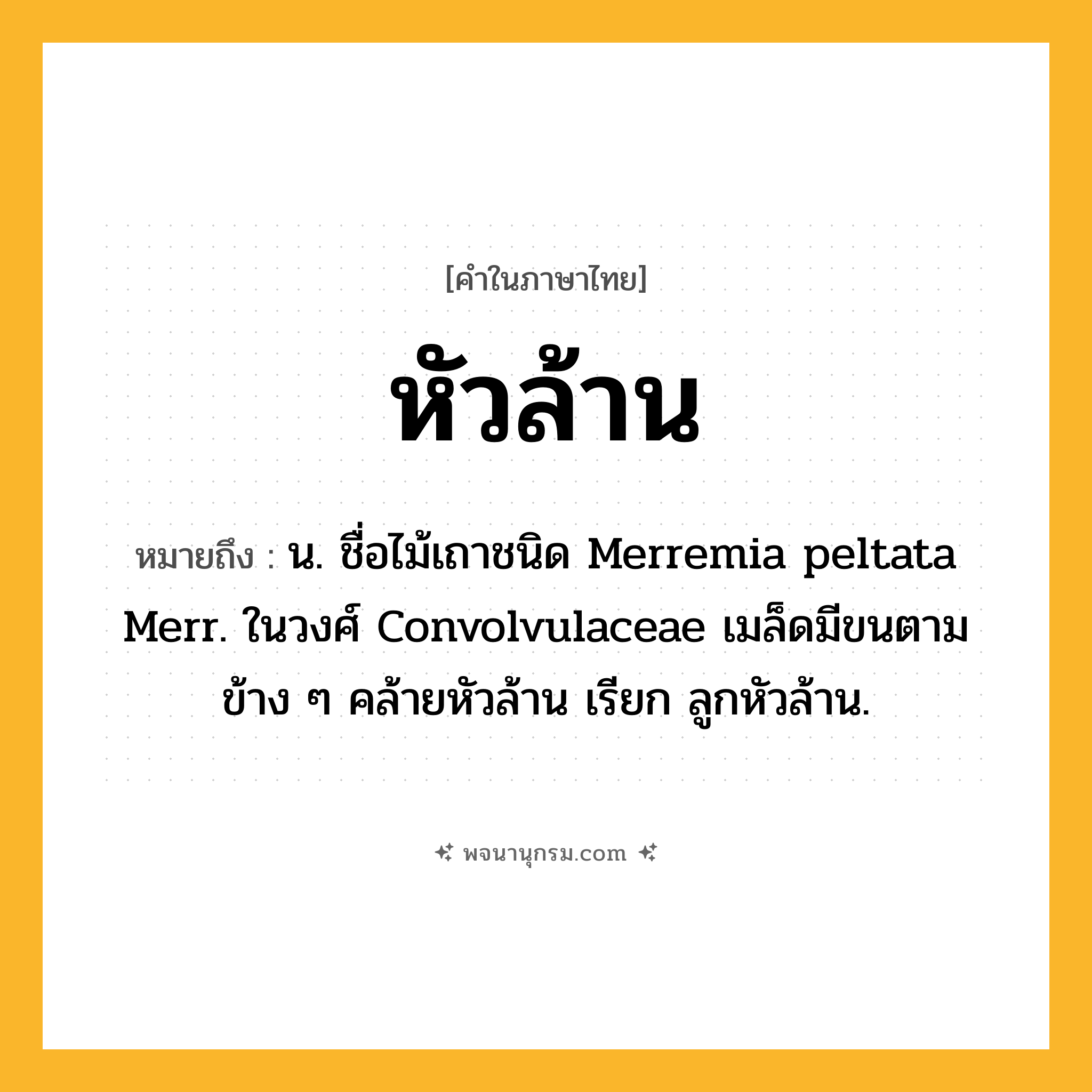 หัวล้าน ความหมาย หมายถึงอะไร?, คำในภาษาไทย หัวล้าน หมายถึง น. ชื่อไม้เถาชนิด Merremia peltata Merr. ในวงศ์ Convolvulaceae เมล็ดมีขนตามข้าง ๆ คล้ายหัวล้าน เรียก ลูกหัวล้าน.