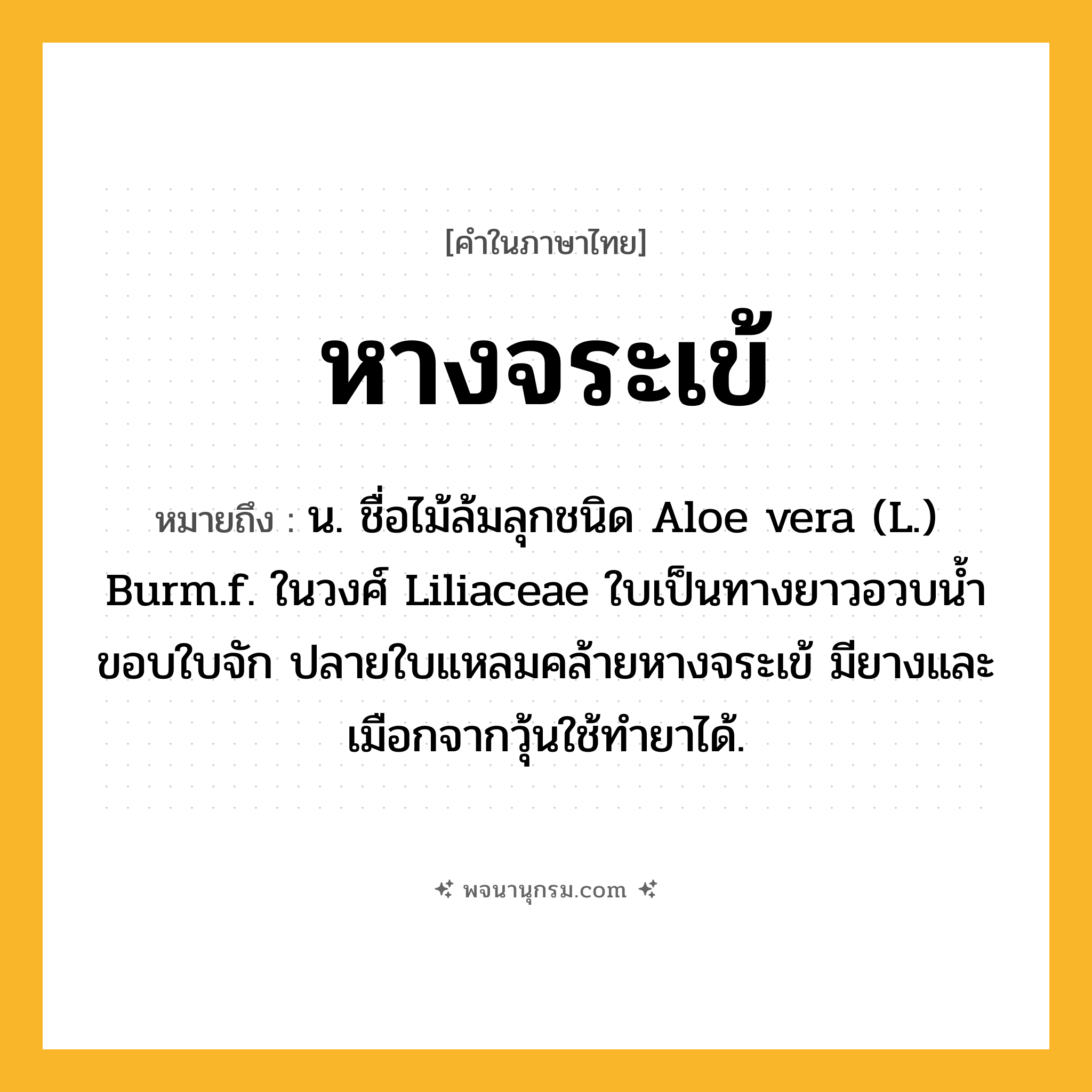 หางจระเข้ ความหมาย หมายถึงอะไร?, คำในภาษาไทย หางจระเข้ หมายถึง น. ชื่อไม้ล้มลุกชนิด Aloe vera (L.) Burm.f. ในวงศ์ Liliaceae ใบเป็นทางยาวอวบนํ้า ขอบใบจัก ปลายใบแหลมคล้ายหางจระเข้ มียางและเมือกจากวุ้นใช้ทํายาได้.
