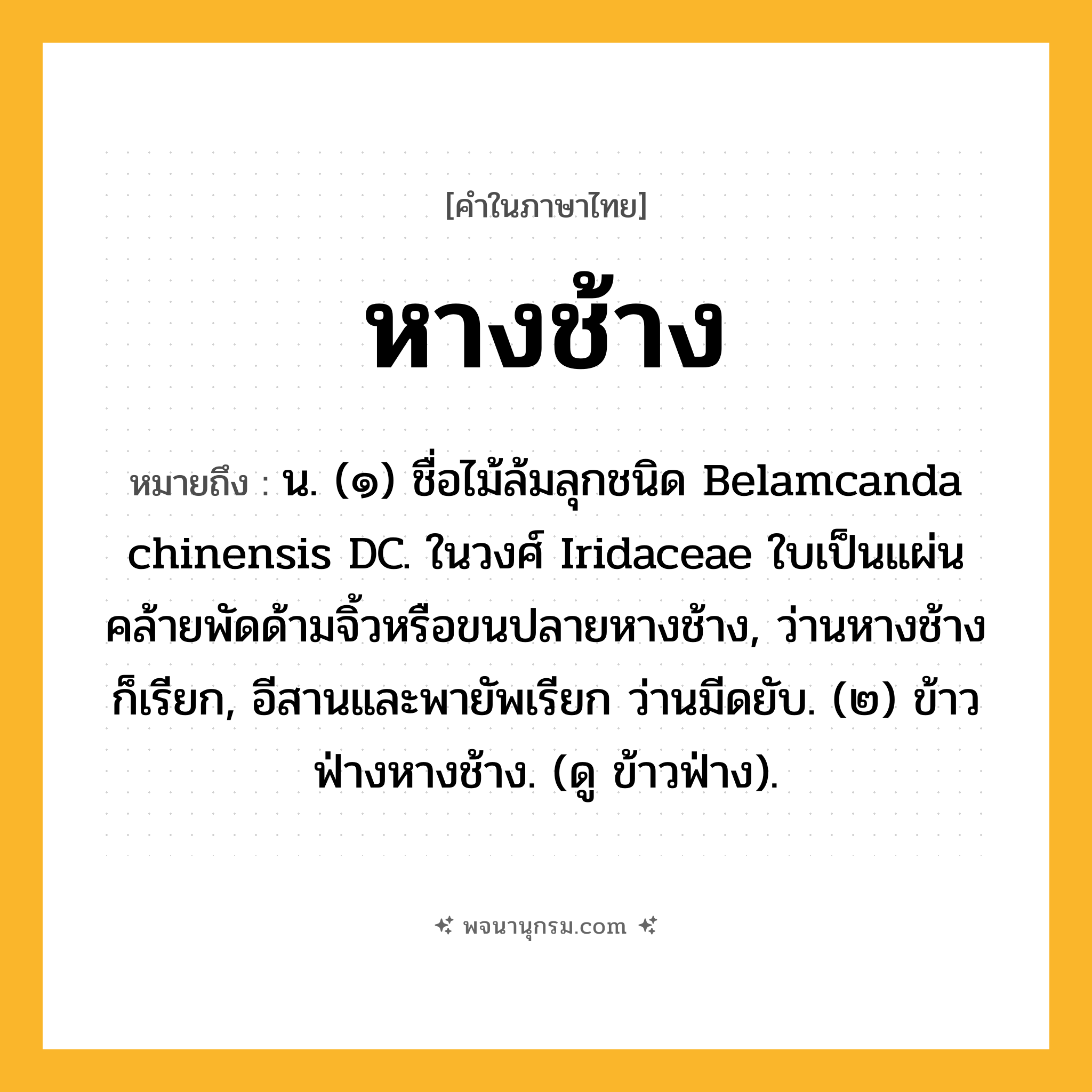 หางช้าง ความหมาย หมายถึงอะไร?, คำในภาษาไทย หางช้าง หมายถึง น. (๑) ชื่อไม้ล้มลุกชนิด Belamcanda chinensis DC. ในวงศ์ Iridaceae ใบเป็นแผ่นคล้ายพัดด้ามจิ้วหรือขนปลายหางช้าง, ว่านหางช้าง ก็เรียก, อีสานและพายัพเรียก ว่านมีดยับ. (๒) ข้าวฟ่างหางช้าง. (ดู ข้าวฟ่าง).