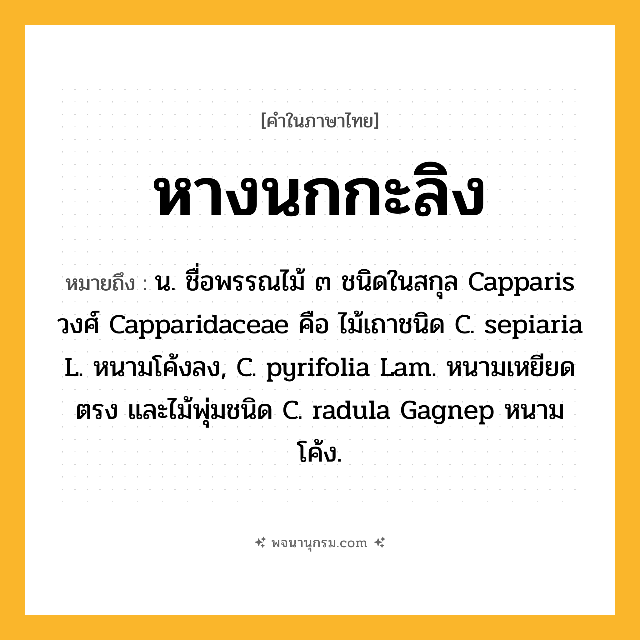 หางนกกะลิง ความหมาย หมายถึงอะไร?, คำในภาษาไทย หางนกกะลิง หมายถึง น. ชื่อพรรณไม้ ๓ ชนิดในสกุล Capparis วงศ์ Capparidaceae คือ ไม้เถาชนิด C. sepiaria L. หนามโค้งลง, C. pyrifolia Lam. หนามเหยียดตรง และไม้พุ่มชนิด C. radula Gagnep หนามโค้ง.
