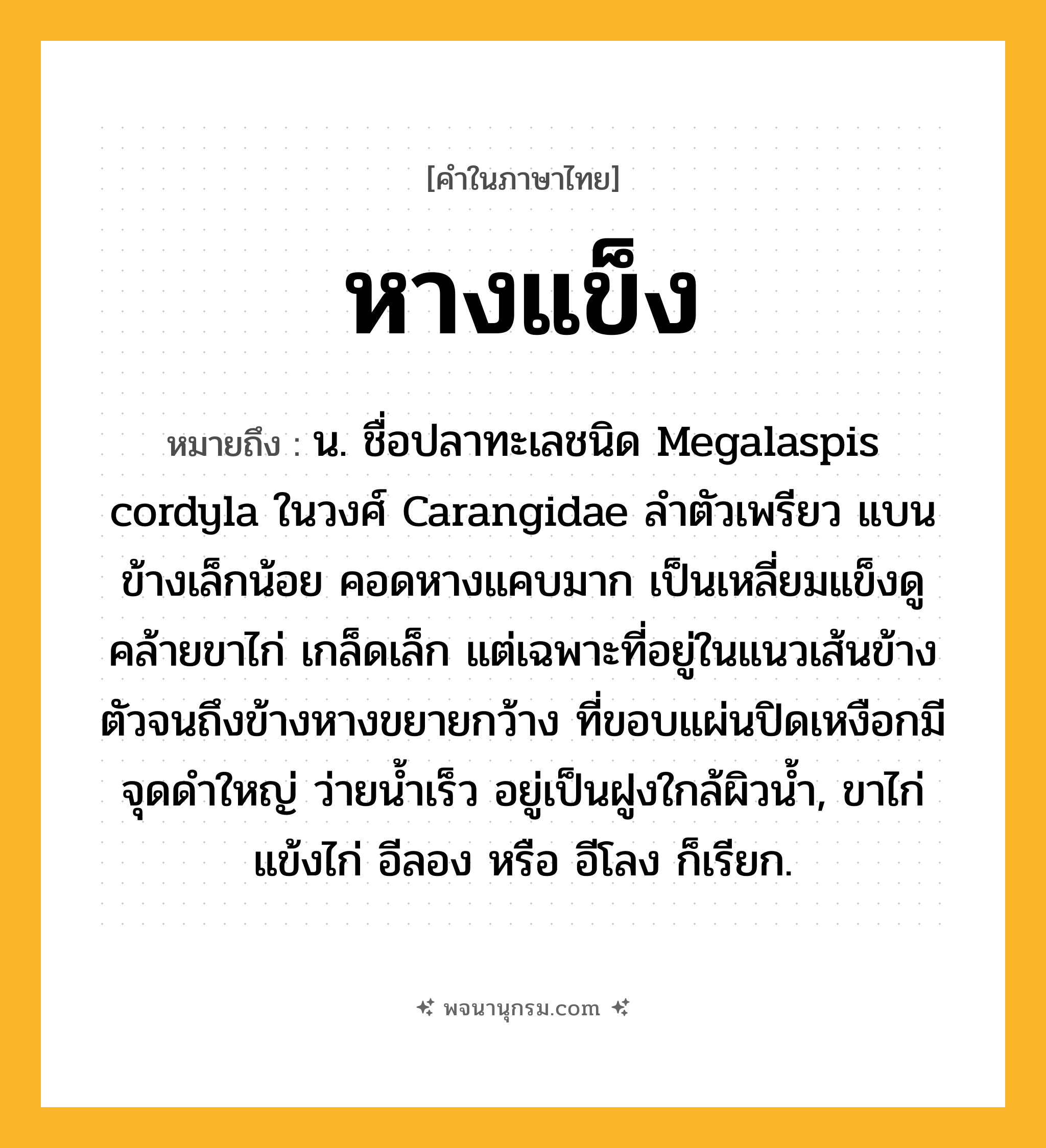 หางแข็ง ความหมาย หมายถึงอะไร?, คำในภาษาไทย หางแข็ง หมายถึง น. ชื่อปลาทะเลชนิด Megalaspis cordyla ในวงศ์ Carangidae ลำตัวเพรียว แบนข้างเล็กน้อย คอดหางแคบมาก เป็นเหลี่ยมแข็งดูคล้ายขาไก่ เกล็ดเล็ก แต่เฉพาะที่อยู่ในแนวเส้นข้างตัวจนถึงข้างหางขยายกว้าง ที่ขอบแผ่นปิดเหงือกมีจุดดำใหญ่ ว่ายน้ำเร็ว อยู่เป็นฝูงใกล้ผิวน้ำ, ขาไก่ แข้งไก่ อีลอง หรือ อีโลง ก็เรียก.
