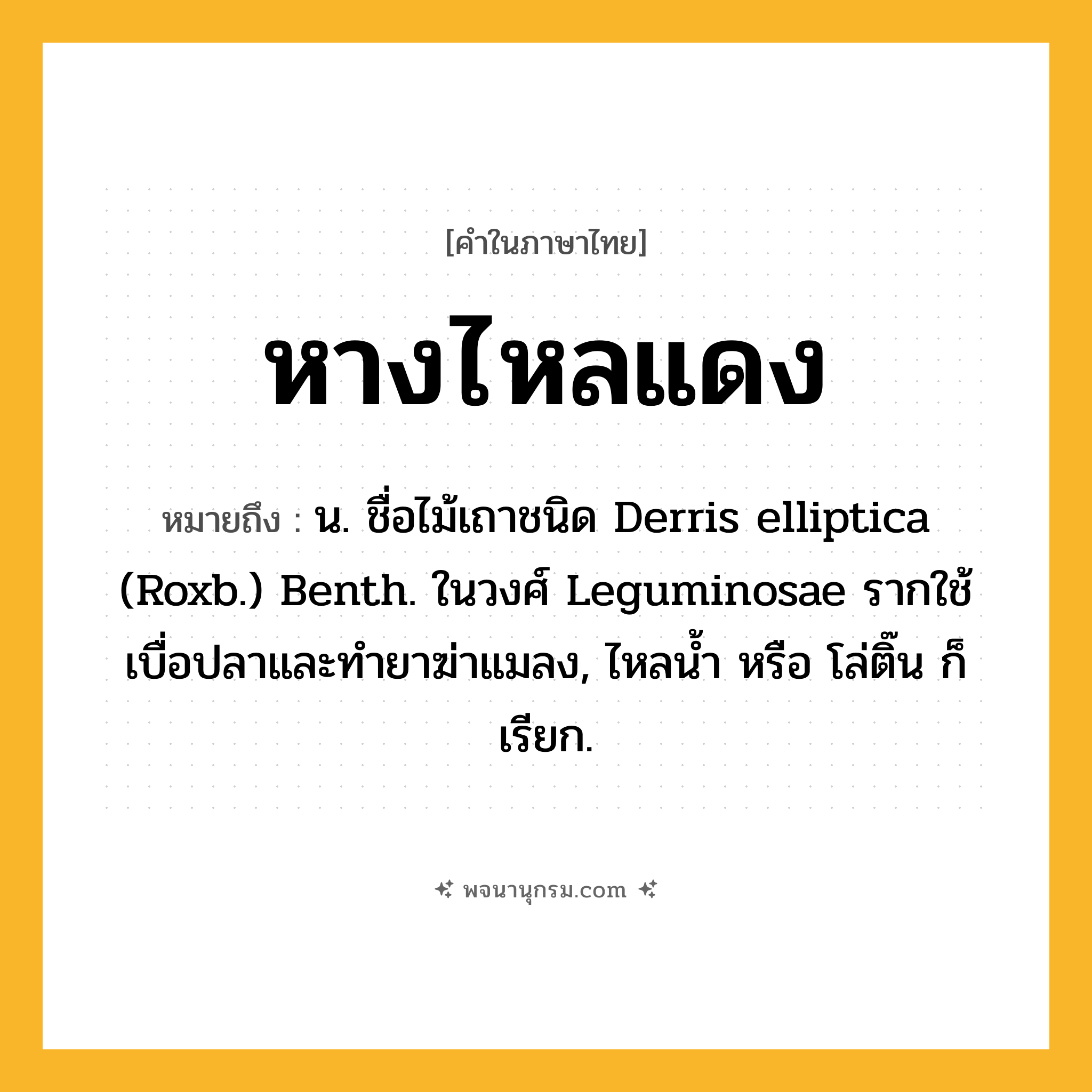 หางไหลแดง ความหมาย หมายถึงอะไร?, คำในภาษาไทย หางไหลแดง หมายถึง น. ชื่อไม้เถาชนิด Derris elliptica (Roxb.) Benth. ในวงศ์ Leguminosae รากใช้เบื่อปลาและทํายาฆ่าแมลง, ไหลนํ้า หรือ โล่ติ๊น ก็เรียก.