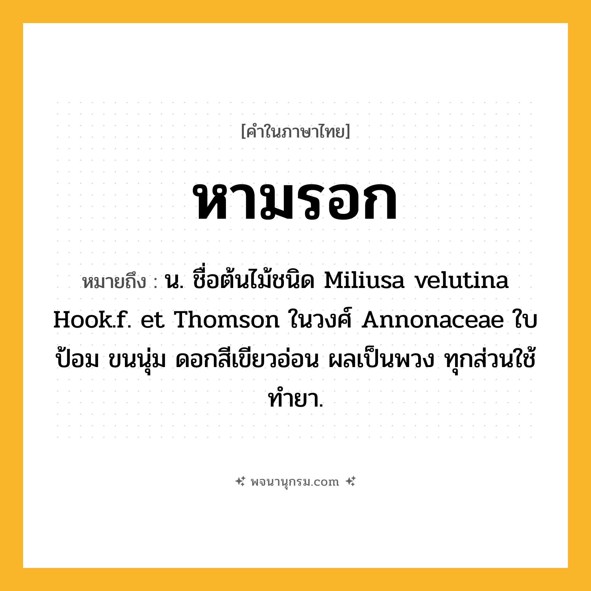 หามรอก ความหมาย หมายถึงอะไร?, คำในภาษาไทย หามรอก หมายถึง น. ชื่อต้นไม้ชนิด Miliusa velutina Hook.f. et Thomson ในวงศ์ Annonaceae ใบป้อม ขนนุ่ม ดอกสีเขียวอ่อน ผลเป็นพวง ทุกส่วนใช้ทำยา.
