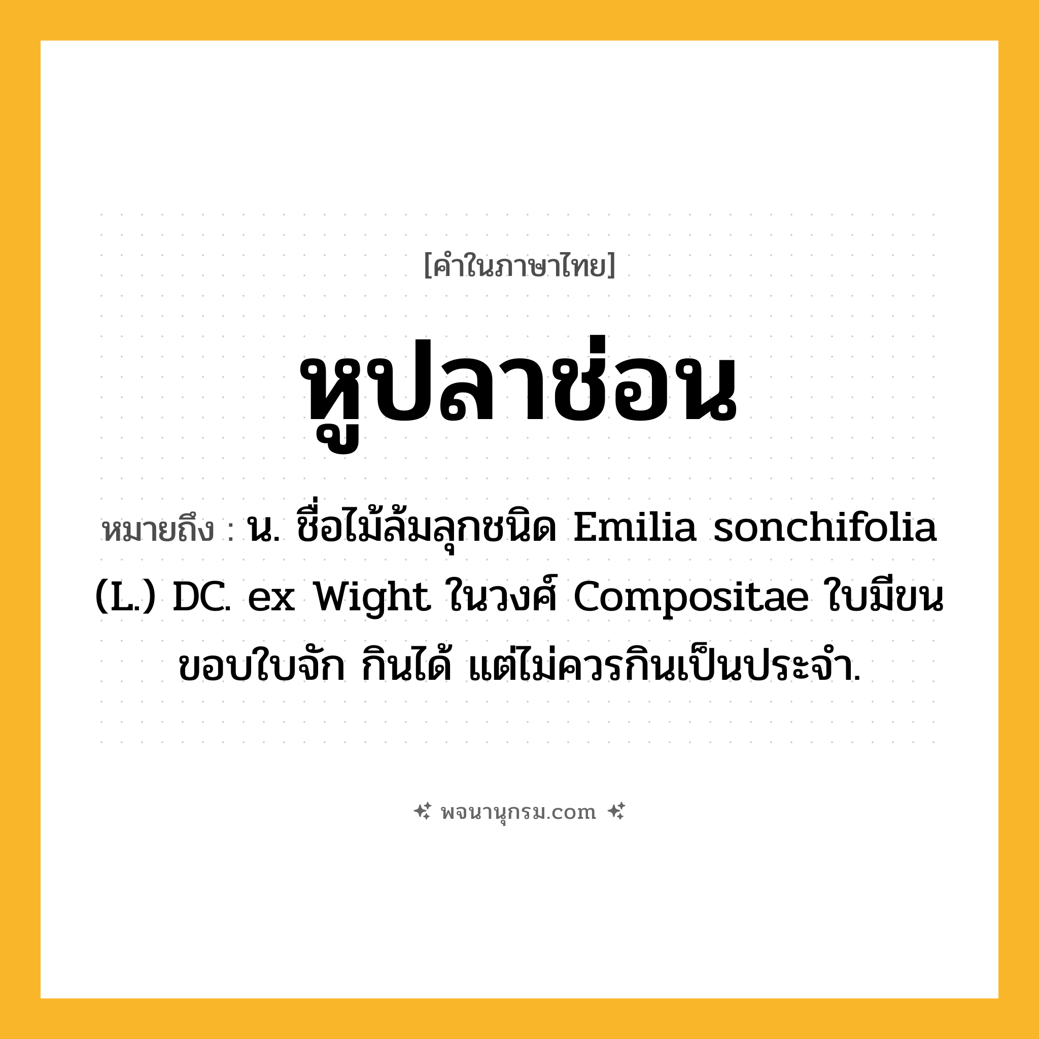 หูปลาช่อน ความหมาย หมายถึงอะไร?, คำในภาษาไทย หูปลาช่อน หมายถึง น. ชื่อไม้ล้มลุกชนิด Emilia sonchifolia (L.) DC. ex Wight ในวงศ์ Compositae ใบมีขน ขอบใบจัก กินได้ แต่ไม่ควรกินเป็นประจํา.