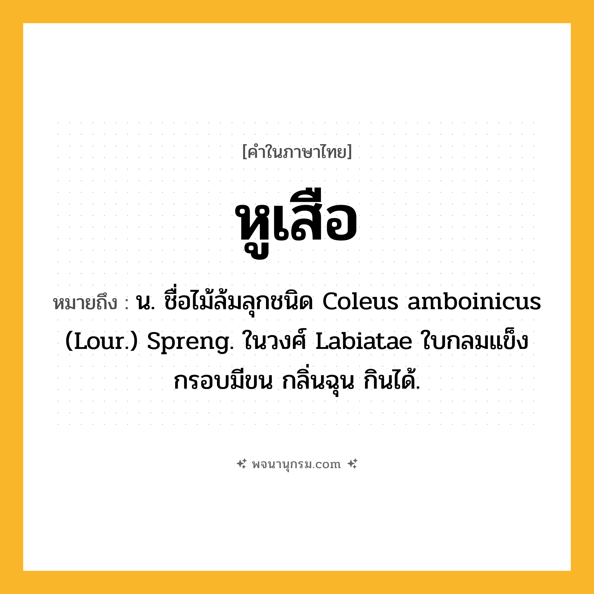 หูเสือ ความหมาย หมายถึงอะไร?, คำในภาษาไทย หูเสือ หมายถึง น. ชื่อไม้ล้มลุกชนิด Coleus amboinicus (Lour.) Spreng. ในวงศ์ Labiatae ใบกลมแข็งกรอบมีขน กลิ่นฉุน กินได้.