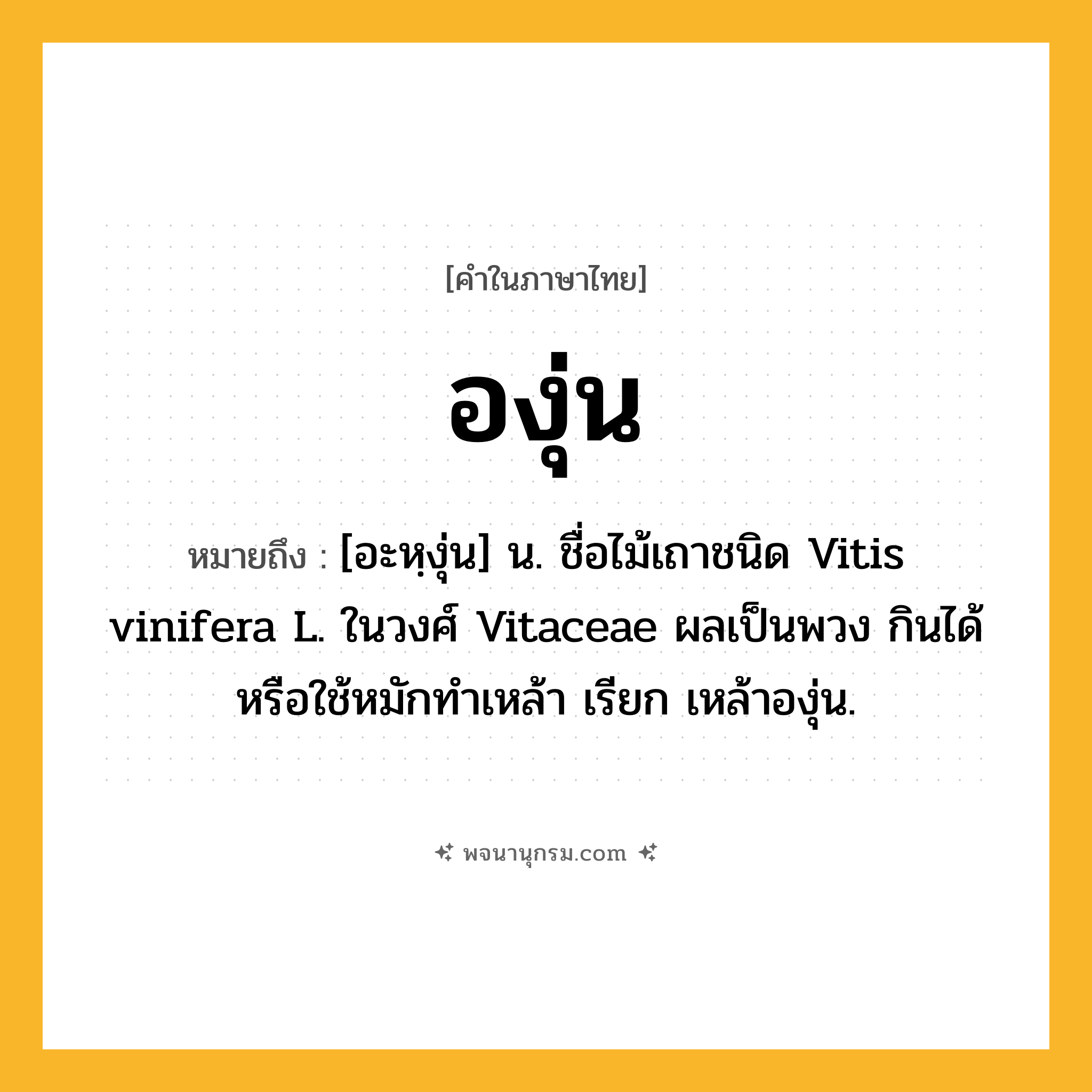 องุ่น ความหมาย หมายถึงอะไร?, คำในภาษาไทย องุ่น หมายถึง [อะหฺงุ่น] น. ชื่อไม้เถาชนิด Vitis vinifera L. ในวงศ์ Vitaceae ผลเป็นพวง กินได้หรือใช้หมักทําเหล้า เรียก เหล้าองุ่น.