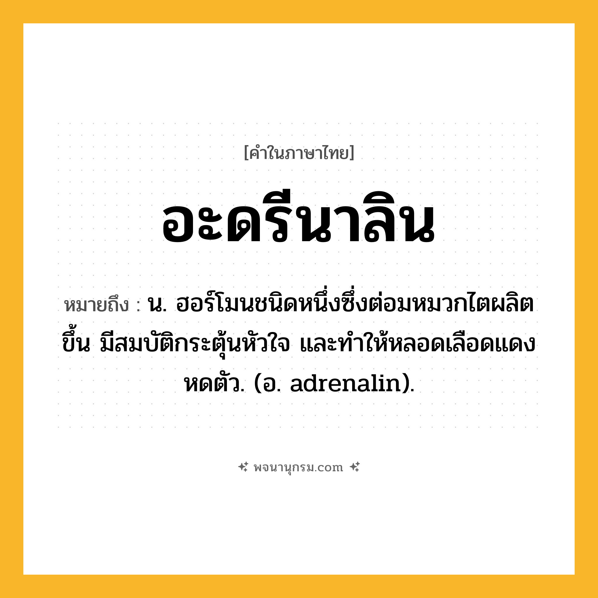 อะดรีนาลิน ความหมาย หมายถึงอะไร?, คำในภาษาไทย อะดรีนาลิน หมายถึง น. ฮอร์โมนชนิดหนึ่งซึ่งต่อมหมวกไตผลิตขึ้น มีสมบัติกระตุ้นหัวใจ และทําให้หลอดเลือดแดงหดตัว. (อ. adrenalin).