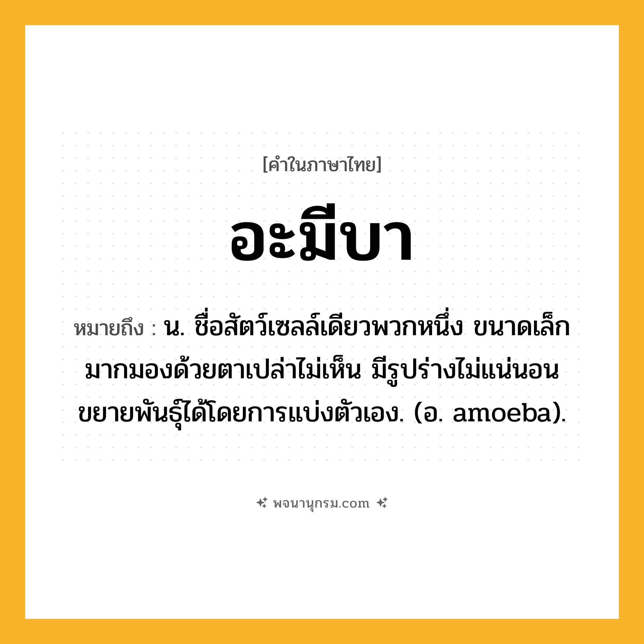 อะมีบา ความหมาย หมายถึงอะไร?, คำในภาษาไทย อะมีบา หมายถึง น. ชื่อสัตว์เซลล์เดียวพวกหนึ่ง ขนาดเล็กมากมองด้วยตาเปล่าไม่เห็น มีรูปร่างไม่แน่นอน ขยายพันธุ์ได้โดยการแบ่งตัวเอง. (อ. amoeba).