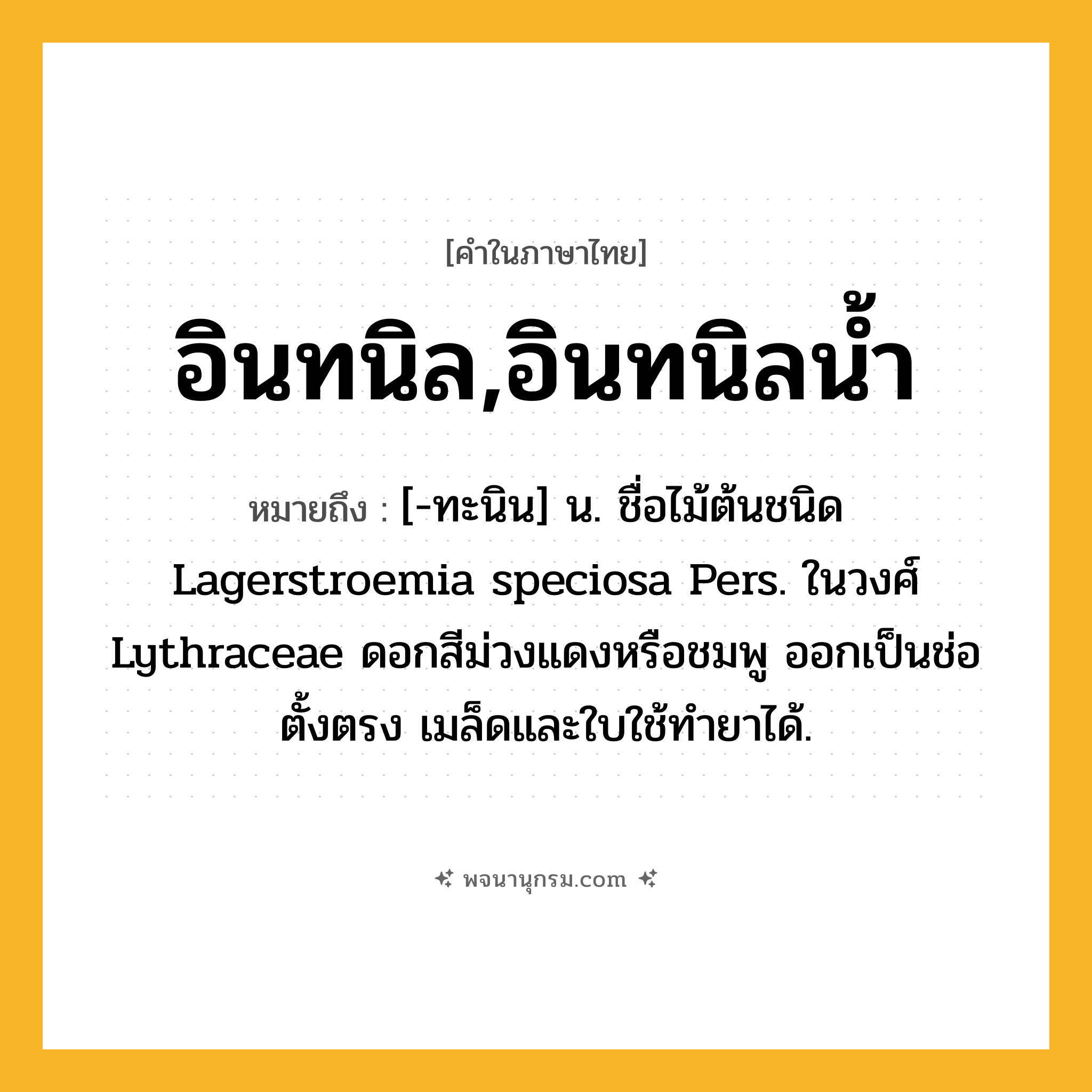 อินทนิล,อินทนิลน้ำ ความหมาย หมายถึงอะไร?, คำในภาษาไทย อินทนิล,อินทนิลน้ำ หมายถึง [-ทะนิน] น. ชื่อไม้ต้นชนิด Lagerstroemia speciosa Pers. ในวงศ์ Lythraceae ดอกสีม่วงแดงหรือชมพู ออกเป็นช่อตั้งตรง เมล็ดและใบใช้ทํายาได้.