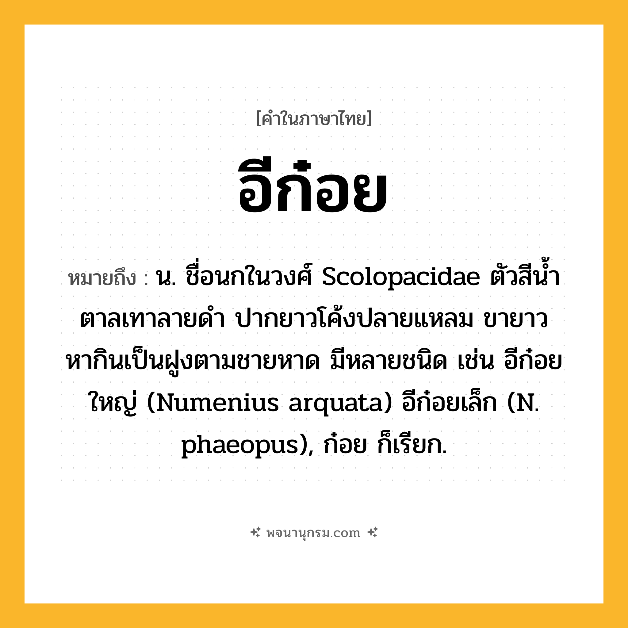 อีก๋อย ความหมาย หมายถึงอะไร?, คำในภาษาไทย อีก๋อย หมายถึง น. ชื่อนกในวงศ์ Scolopacidae ตัวสีนํ้าตาลเทาลายดํา ปากยาวโค้งปลายแหลม ขายาว หากินเป็นฝูงตามชายหาด มีหลายชนิด เช่น อีก๋อยใหญ่ (Numenius arquata) อีก๋อยเล็ก (N. phaeopus), ก๋อย ก็เรียก.