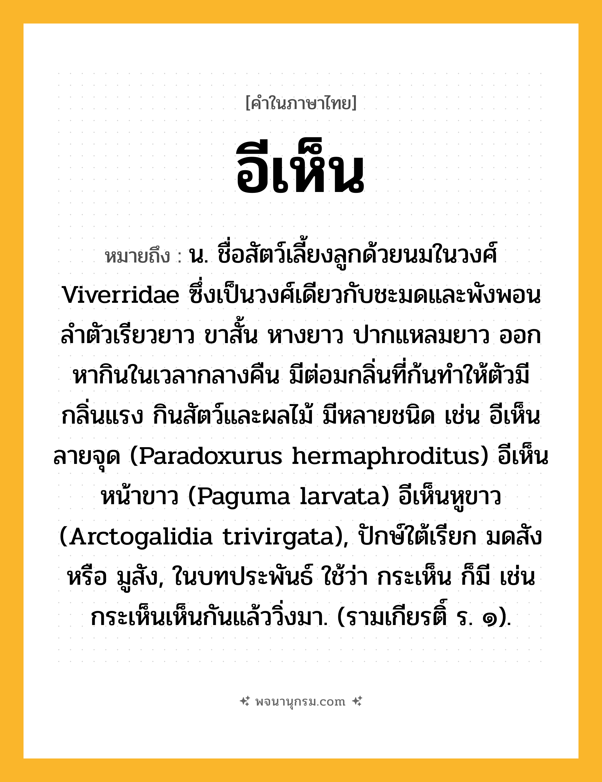 อีเห็น ความหมาย หมายถึงอะไร?, คำในภาษาไทย อีเห็น หมายถึง น. ชื่อสัตว์เลี้ยงลูกด้วยนมในวงศ์ Viverridae ซึ่งเป็นวงศ์เดียวกับชะมดและพังพอน ลําตัวเรียวยาว ขาสั้น หางยาว ปากแหลมยาว ออกหากินในเวลากลางคืน มีต่อมกลิ่นที่ก้นทําให้ตัวมีกลิ่นแรง กินสัตว์และผลไม้ มีหลายชนิด เช่น อีเห็นลายจุด (Paradoxurus hermaphroditus) อีเห็นหน้าขาว (Paguma larvata) อีเห็นหูขาว (Arctogalidia trivirgata), ปักษ์ใต้เรียก มดสัง หรือ มูสัง, ในบทประพันธ์ ใช้ว่า กระเห็น ก็มี เช่น กระเห็นเห็นกันแล้ววิ่งมา. (รามเกียรติ์ ร. ๑).