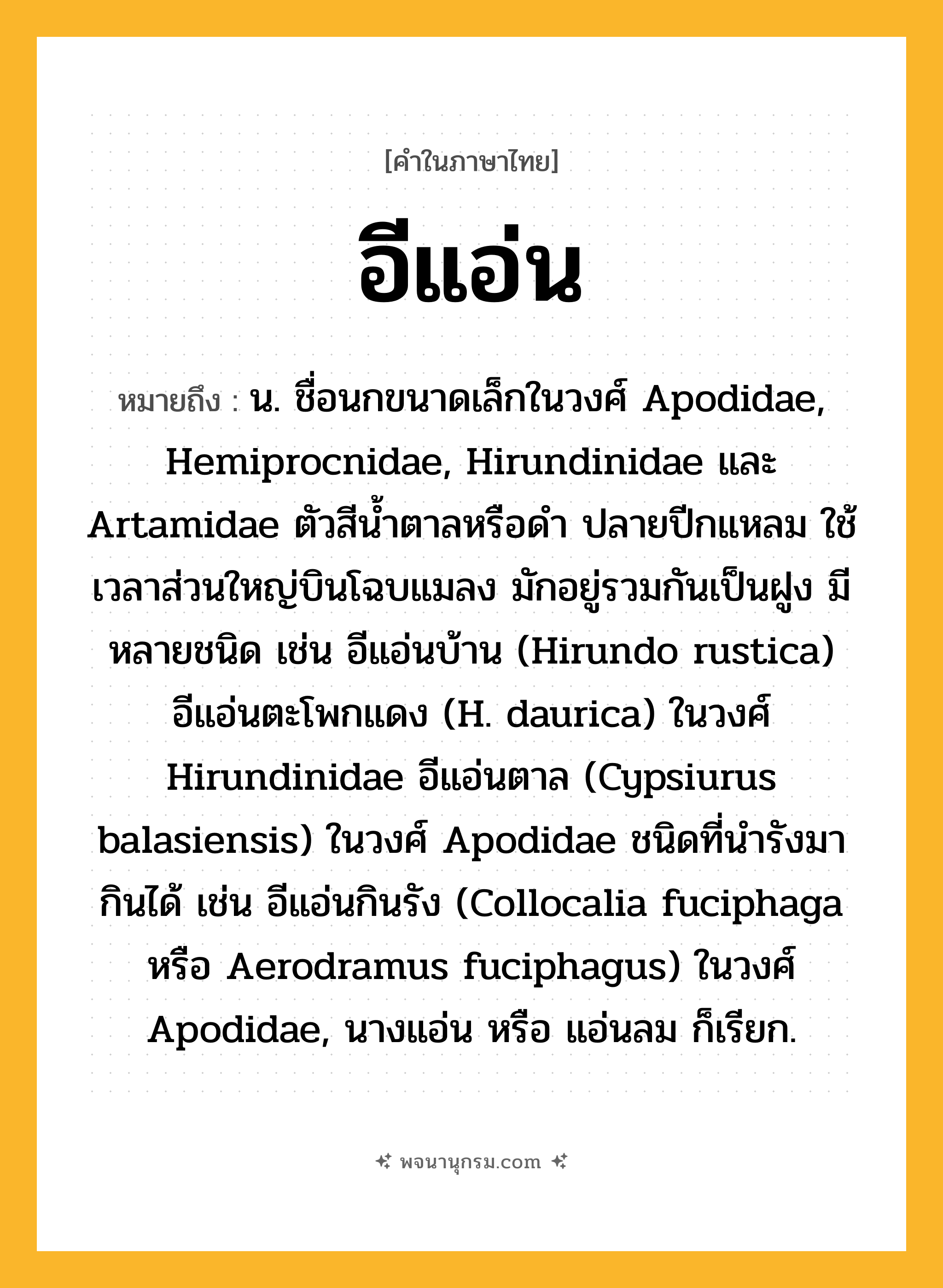 อีแอ่น ความหมาย หมายถึงอะไร?, คำในภาษาไทย อีแอ่น หมายถึง น. ชื่อนกขนาดเล็กในวงศ์ Apodidae, Hemiprocnidae, Hirundinidae และ Artamidae ตัวสีนํ้าตาลหรือดํา ปลายปีกแหลม ใช้เวลาส่วนใหญ่บินโฉบแมลง มักอยู่รวมกันเป็นฝูง มีหลายชนิด เช่น อีแอ่นบ้าน (Hirundo rustica) อีแอ่นตะโพกแดง (H. daurica) ในวงศ์ Hirundinidae อีแอ่นตาล (Cypsiurus balasiensis) ในวงศ์ Apodidae ชนิดที่นํารังมากินได้ เช่น อีแอ่นกินรัง (Collocalia fuciphaga หรือ Aerodramus fuciphagus) ในวงศ์ Apodidae, นางแอ่น หรือ แอ่นลม ก็เรียก.