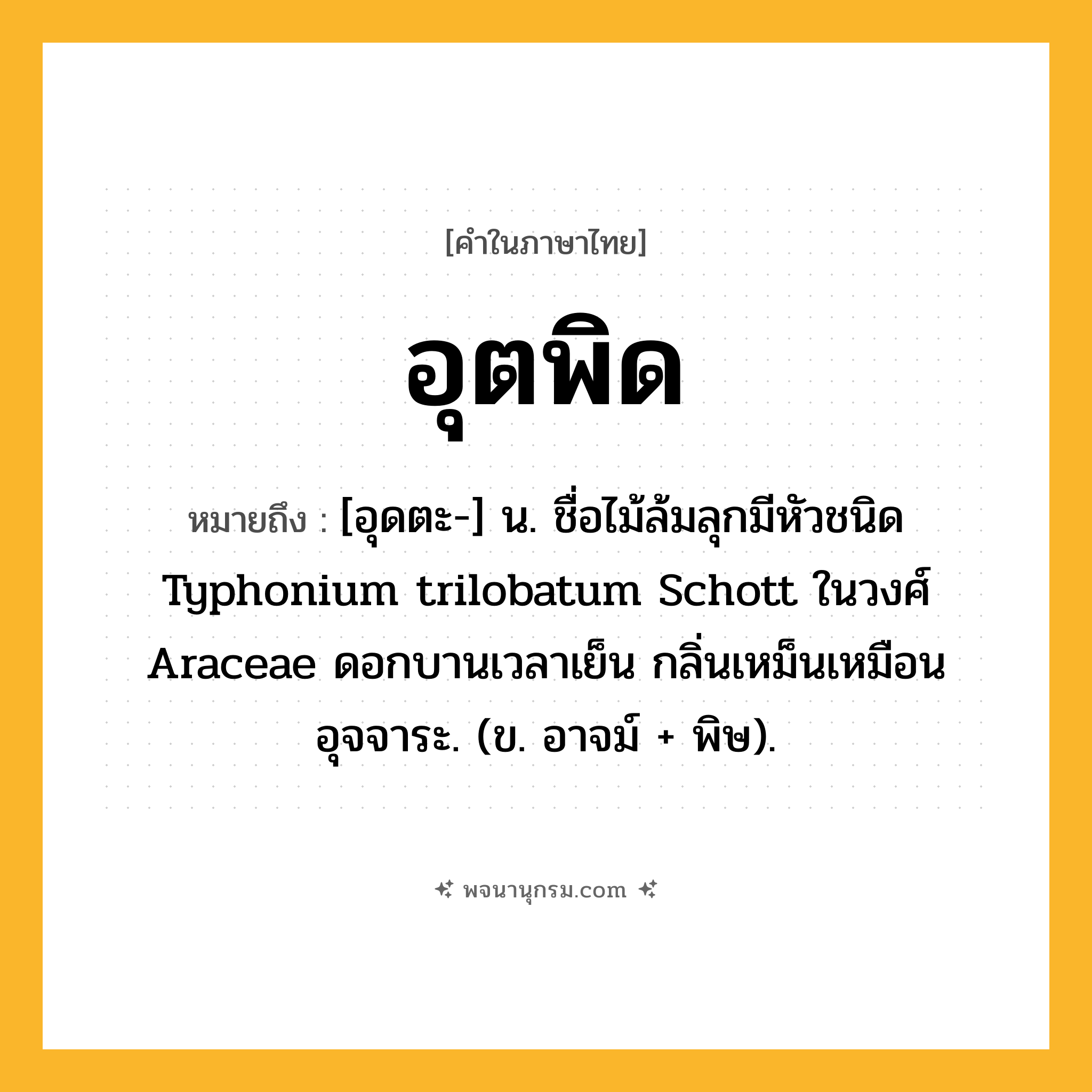 อุตพิด ความหมาย หมายถึงอะไร?, คำในภาษาไทย อุตพิด หมายถึง [อุดตะ-] น. ชื่อไม้ล้มลุกมีหัวชนิด Typhonium trilobatum Schott ในวงศ์ Araceae ดอกบานเวลาเย็น กลิ่นเหม็นเหมือนอุจจาระ. (ข. อาจม์ + พิษ).