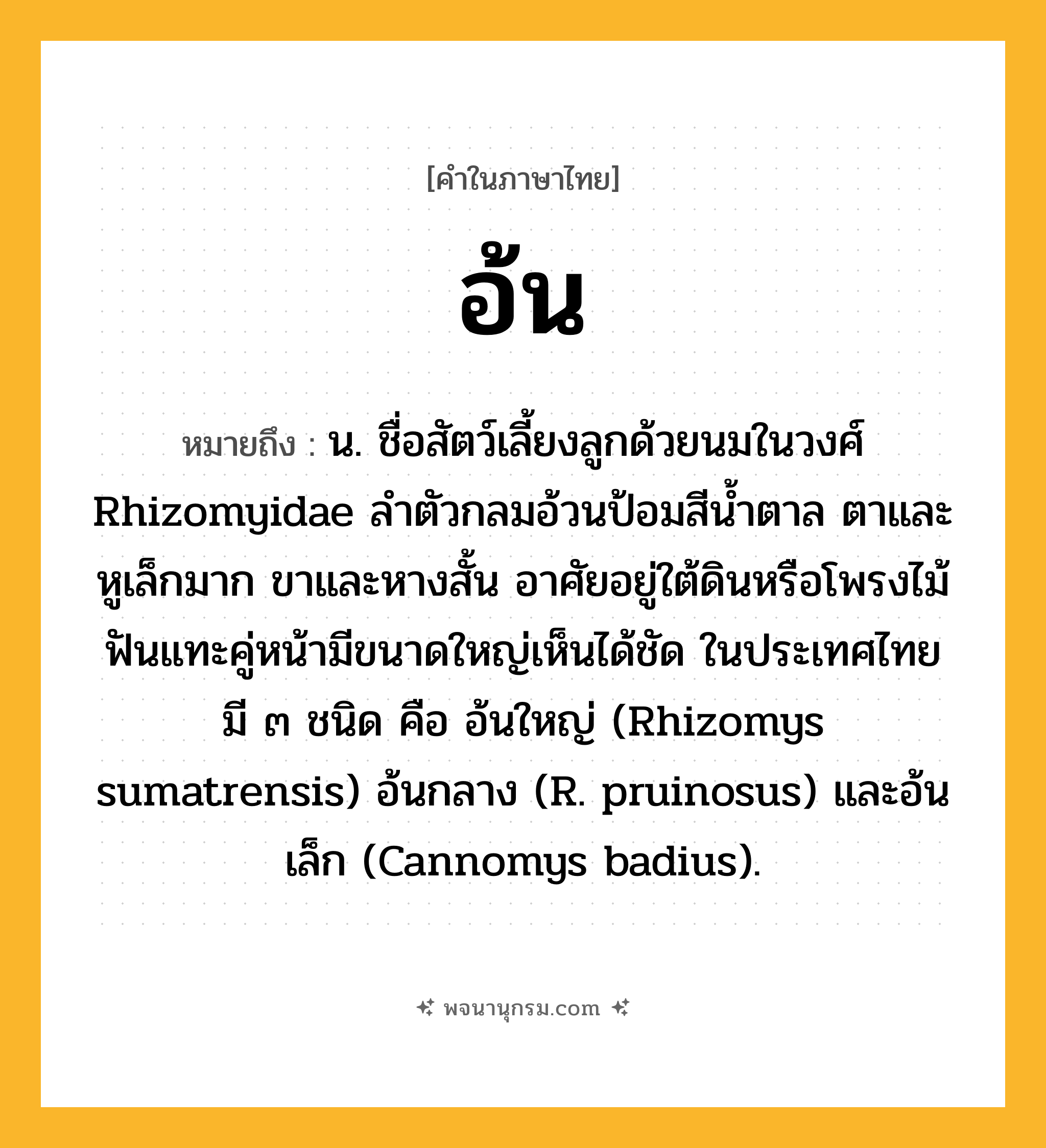 อ้น ความหมาย หมายถึงอะไร?, คำในภาษาไทย อ้น หมายถึง น. ชื่อสัตว์เลี้ยงลูกด้วยนมในวงศ์ Rhizomyidae ลําตัวกลมอ้วนป้อมสีนํ้าตาล ตาและหูเล็กมาก ขาและหางสั้น อาศัยอยู่ใต้ดินหรือโพรงไม้ ฟันแทะคู่หน้ามีขนาดใหญ่เห็นได้ชัด ในประเทศไทยมี ๓ ชนิด คือ อ้นใหญ่ (Rhizomys sumatrensis) อ้นกลาง (R. pruinosus) และอ้นเล็ก (Cannomys badius).