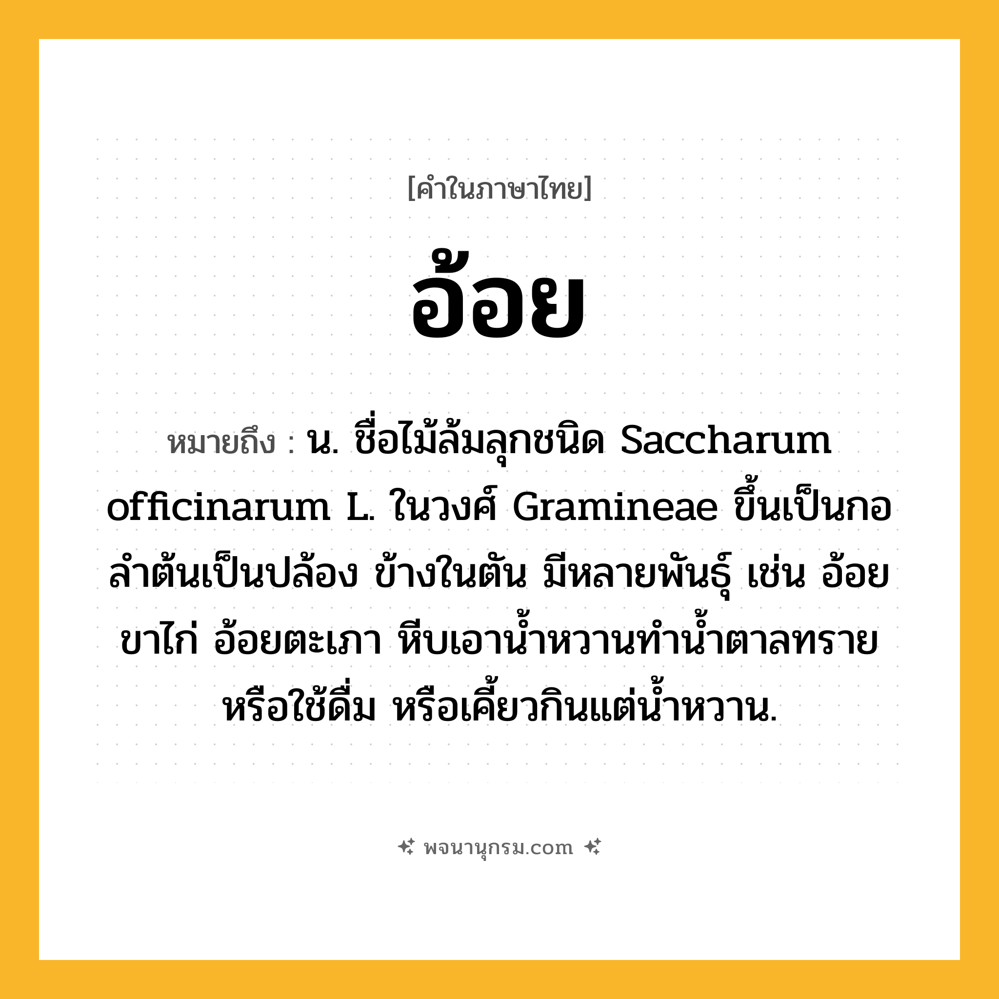 อ้อย ความหมาย หมายถึงอะไร?, คำในภาษาไทย อ้อย หมายถึง น. ชื่อไม้ล้มลุกชนิด Saccharum officinarum L. ในวงศ์ Gramineae ขึ้นเป็นกอ ลําต้นเป็นปล้อง ข้างในตัน มีหลายพันธุ์ เช่น อ้อยขาไก่ อ้อยตะเภา หีบเอานํ้าหวานทํานํ้าตาลทรายหรือใช้ดื่ม หรือเคี้ยวกินแต่นํ้าหวาน.