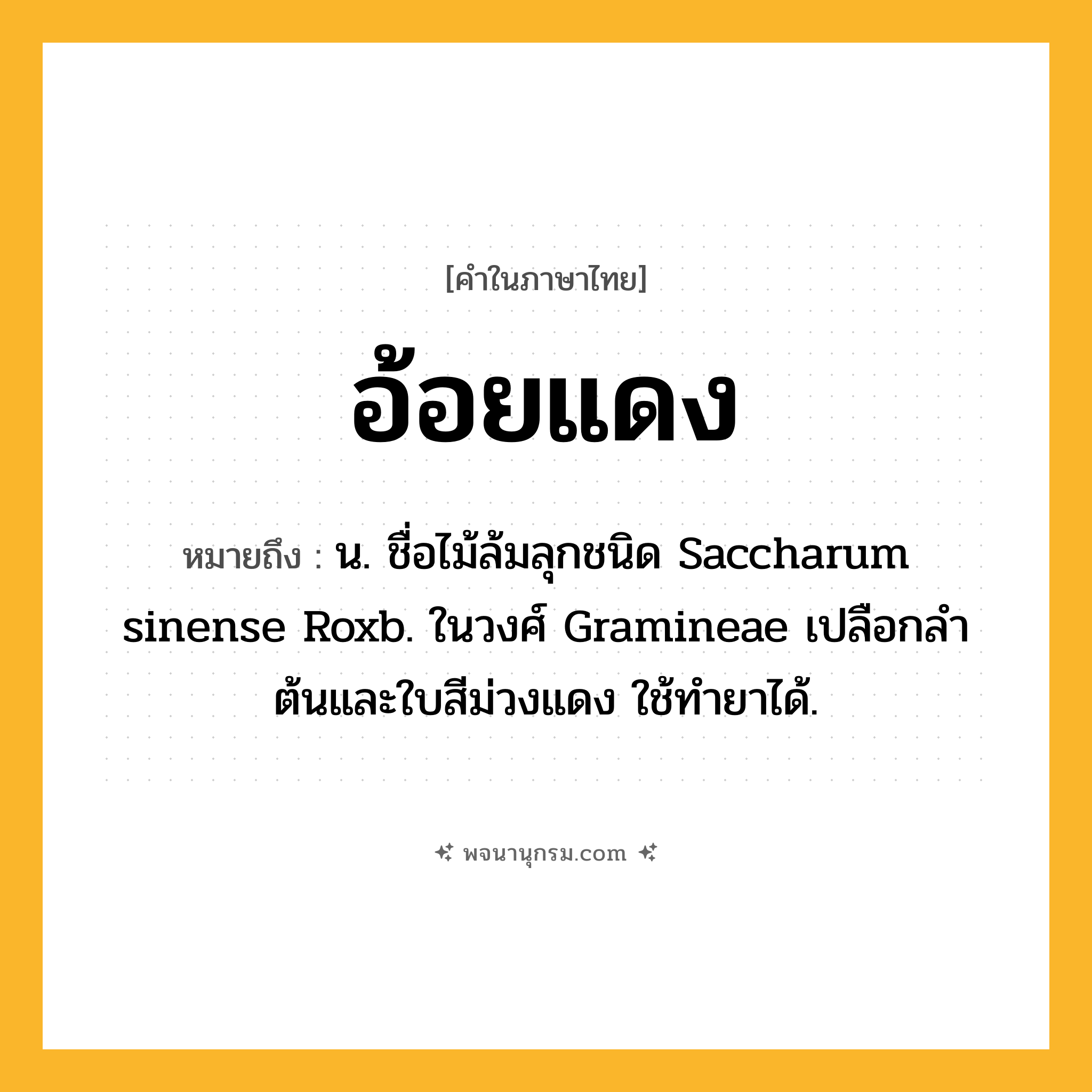 อ้อยแดง ความหมาย หมายถึงอะไร?, คำในภาษาไทย อ้อยแดง หมายถึง น. ชื่อไม้ล้มลุกชนิด Saccharum sinense Roxb. ในวงศ์ Gramineae เปลือกลําต้นและใบสีม่วงแดง ใช้ทํายาได้.