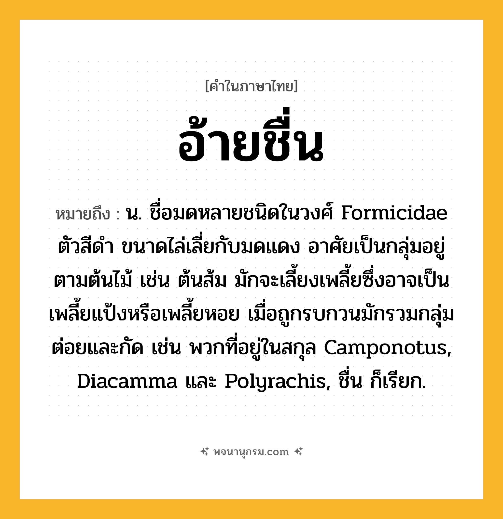 อ้ายชื่น ความหมาย หมายถึงอะไร?, คำในภาษาไทย อ้ายชื่น หมายถึง น. ชื่อมดหลายชนิดในวงศ์ Formicidae ตัวสีดํา ขนาดไล่เลี่ยกับมดแดง อาศัยเป็นกลุ่มอยู่ตามต้นไม้ เช่น ต้นส้ม มักจะเลี้ยงเพลี้ยซึ่งอาจเป็นเพลี้ยแป้งหรือเพลี้ยหอย เมื่อถูกรบกวนมักรวมกลุ่มต่อยและกัด เช่น พวกที่อยู่ในสกุล Camponotus, Diacamma และ Polyrachis, ชื่น ก็เรียก.