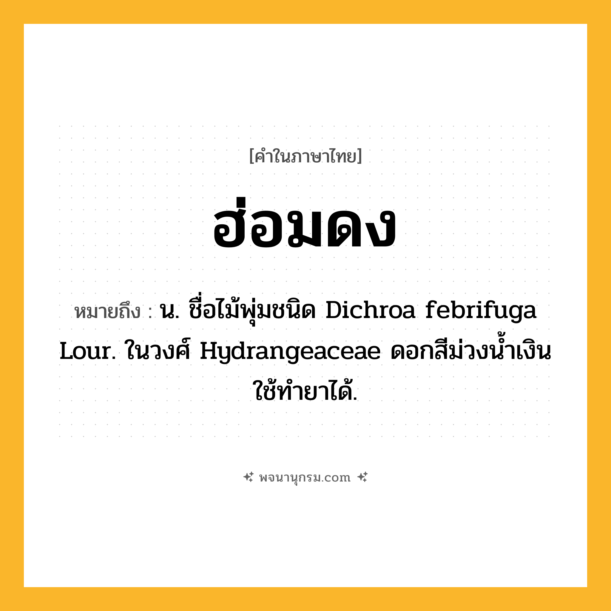 ฮ่อมดง ความหมาย หมายถึงอะไร?, คำในภาษาไทย ฮ่อมดง หมายถึง น. ชื่อไม้พุ่มชนิด Dichroa febrifuga Lour. ในวงศ์ Hydrangeaceae ดอกสีม่วงนํ้าเงิน ใช้ทํายาได้.