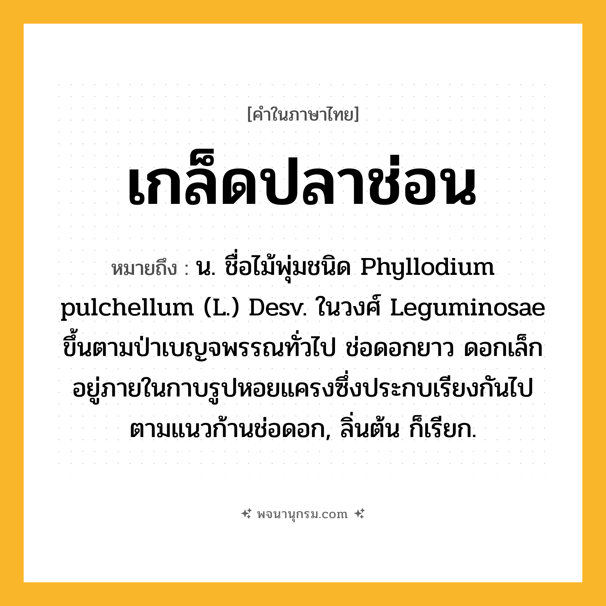 เกล็ดปลาช่อน ความหมาย หมายถึงอะไร?, คำในภาษาไทย เกล็ดปลาช่อน หมายถึง น. ชื่อไม้พุ่มชนิด Phyllodium pulchellum (L.) Desv. ในวงศ์ Leguminosae ขึ้นตามป่าเบญจพรรณทั่วไป ช่อดอกยาว ดอกเล็กอยู่ภายในกาบรูปหอยแครงซึ่งประกบเรียงกันไปตามแนวก้านช่อดอก, ลิ่นต้น ก็เรียก.