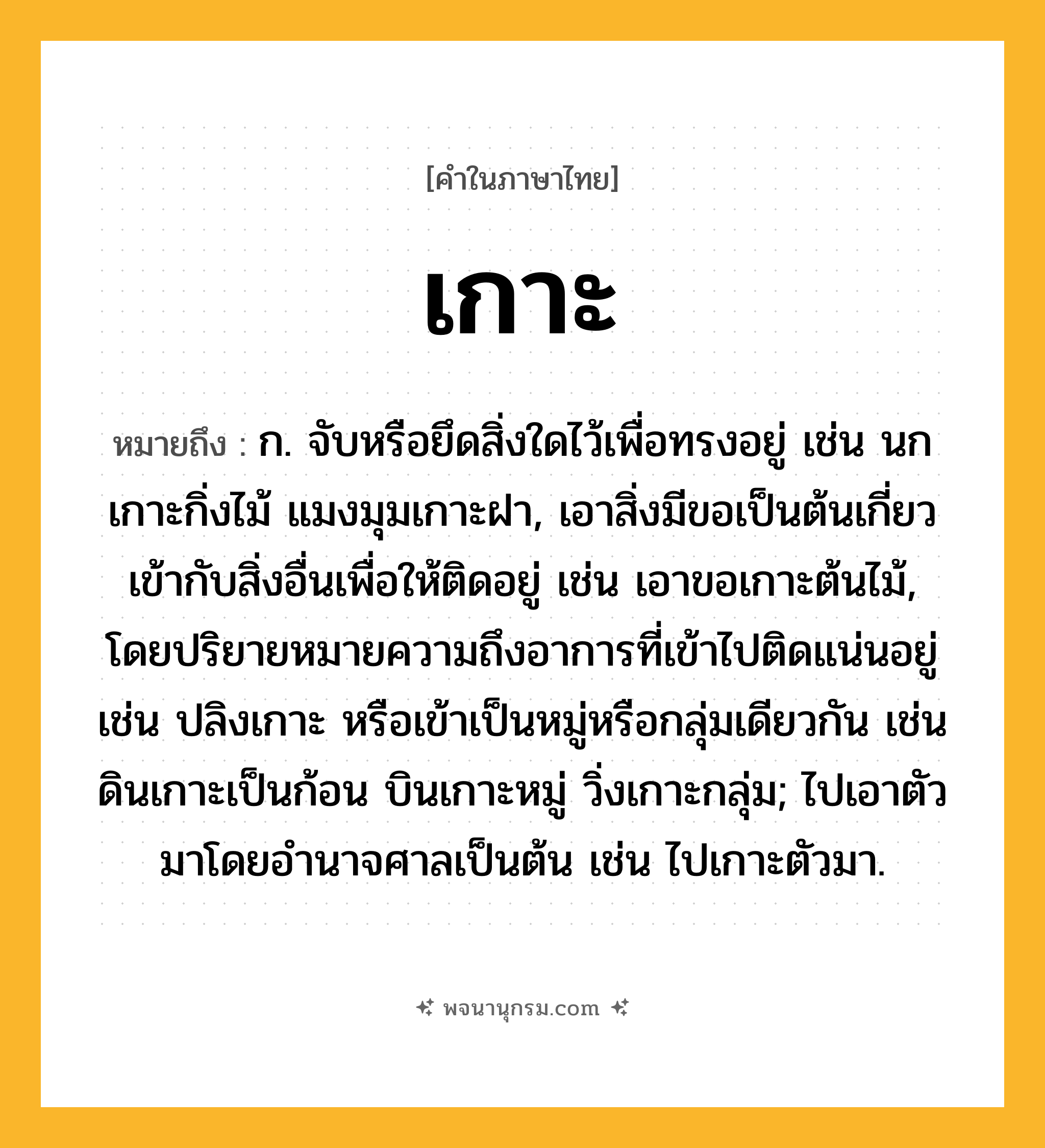 เกาะ ความหมาย หมายถึงอะไร?, คำในภาษาไทย เกาะ หมายถึง ก. จับหรือยึดสิ่งใดไว้เพื่อทรงอยู่ เช่น นกเกาะกิ่งไม้ แมงมุมเกาะฝา, เอาสิ่งมีขอเป็นต้นเกี่ยวเข้ากับสิ่งอื่นเพื่อให้ติดอยู่ เช่น เอาขอเกาะต้นไม้, โดยปริยายหมายความถึงอาการที่เข้าไปติดแน่นอยู่ เช่น ปลิงเกาะ หรือเข้าเป็นหมู่หรือกลุ่มเดียวกัน เช่น ดินเกาะเป็นก้อน บินเกาะหมู่ วิ่งเกาะกลุ่ม; ไปเอาตัวมาโดยอํานาจศาลเป็นต้น เช่น ไปเกาะตัวมา.