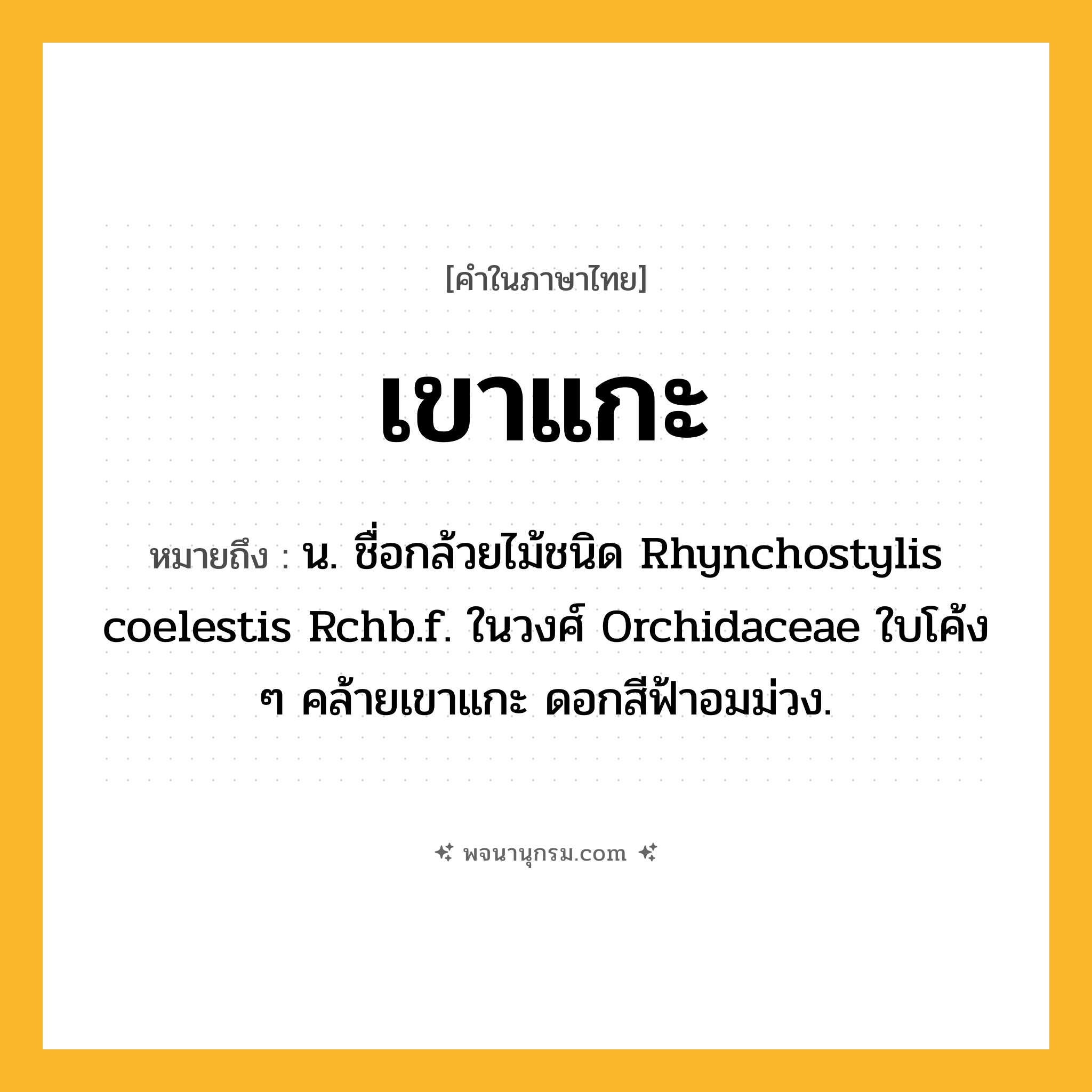 เขาแกะ ความหมาย หมายถึงอะไร?, คำในภาษาไทย เขาแกะ หมายถึง น. ชื่อกล้วยไม้ชนิด Rhynchostylis coelestis Rchb.f. ในวงศ์ Orchidaceae ใบโค้ง ๆ คล้ายเขาแกะ ดอกสีฟ้าอมม่วง.