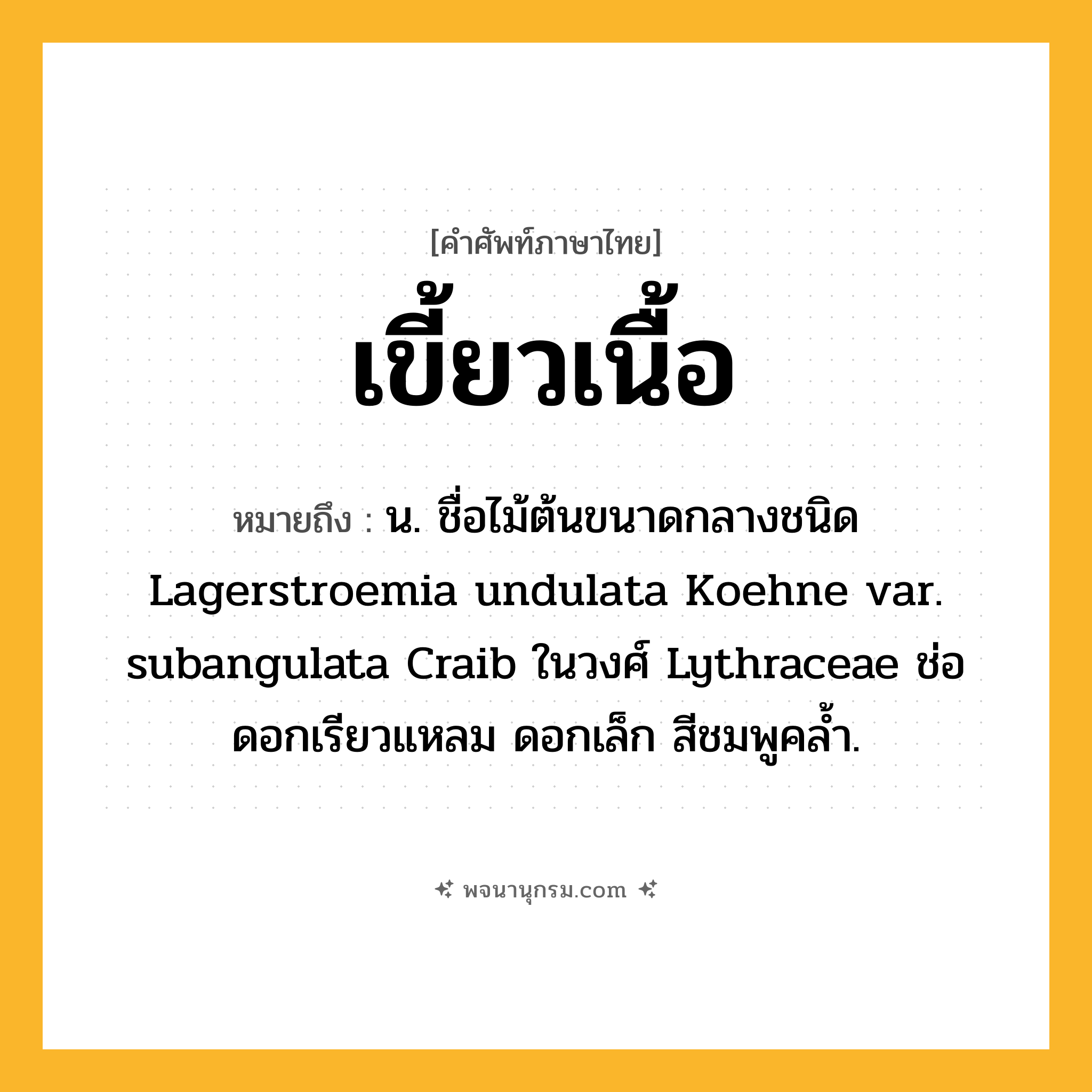 เขี้ยวเนื้อ ความหมาย หมายถึงอะไร?, คำในภาษาไทย เขี้ยวเนื้อ หมายถึง น. ชื่อไม้ต้นขนาดกลางชนิด Lagerstroemia undulata Koehne var. subangulata Craib ในวงศ์ Lythraceae ช่อดอกเรียวแหลม ดอกเล็ก สีชมพูคล้ำ.