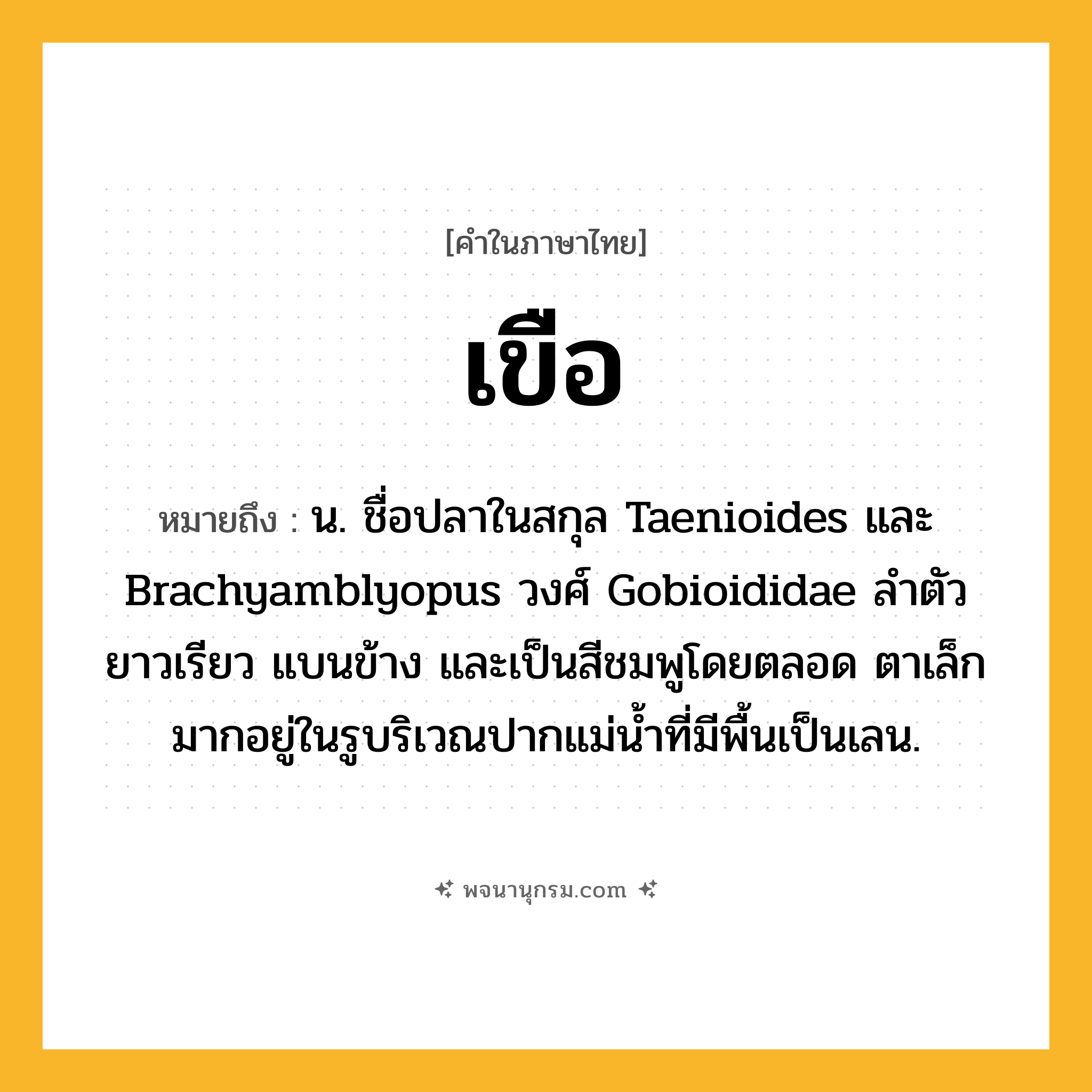 เขือ ความหมาย หมายถึงอะไร?, คำในภาษาไทย เขือ หมายถึง น. ชื่อปลาในสกุล Taenioides และ Brachyamblyopus วงศ์ Gobioididae ลําตัวยาวเรียว แบนข้าง และเป็นสีชมพูโดยตลอด ตาเล็กมากอยู่ในรูบริเวณปากแม่น้ำที่มีพื้นเป็นเลน.