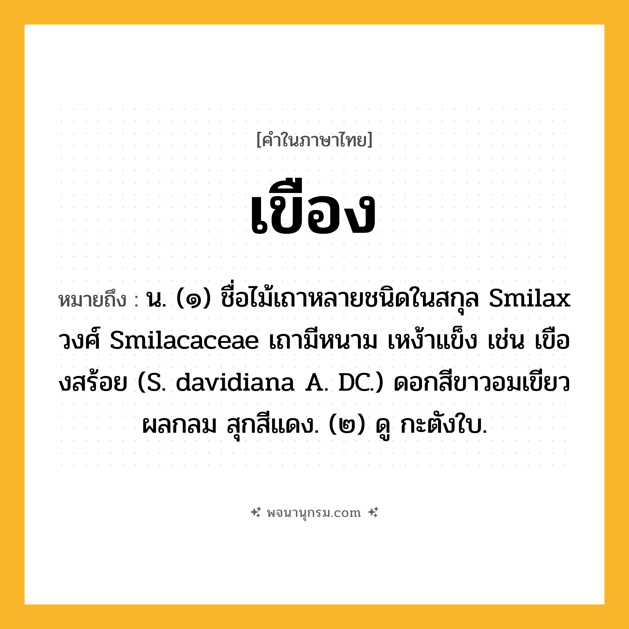เขือง ความหมาย หมายถึงอะไร?, คำในภาษาไทย เขือง หมายถึง น. (๑) ชื่อไม้เถาหลายชนิดในสกุล Smilax วงศ์ Smilacaceae เถามีหนาม เหง้าแข็ง เช่น เขืองสร้อย (S. davidiana A. DC.) ดอกสีขาวอมเขียว ผลกลม สุกสีแดง. (๒) ดู กะตังใบ.