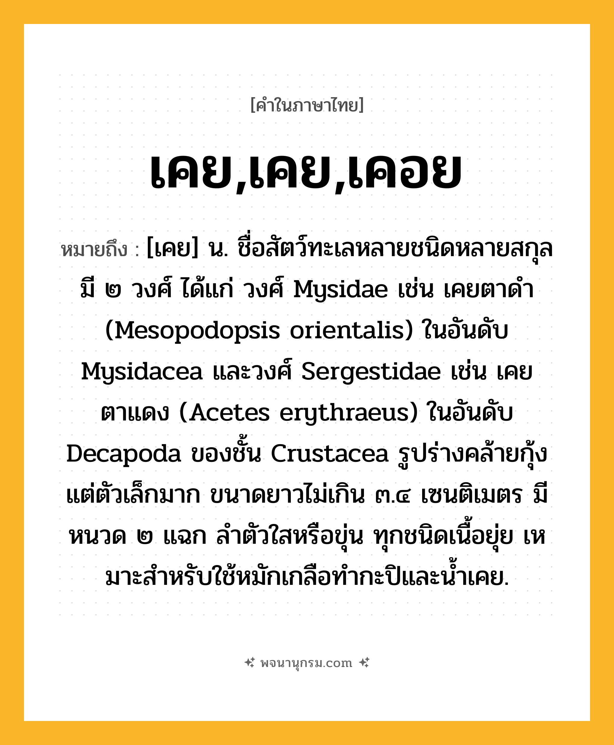 เคย,เคย,เคอย ความหมาย หมายถึงอะไร?, คำในภาษาไทย เคย,เคย,เคอย หมายถึง [เคย] น. ชื่อสัตว์ทะเลหลายชนิดหลายสกุล มี ๒ วงศ์ ได้แก่ วงศ์ Mysidae เช่น เคยตาดํา (Mesopodopsis orientalis) ในอันดับ Mysidacea และวงศ์ Sergestidae เช่น เคยตาแดง (Acetes erythraeus) ในอันดับ Decapoda ของชั้น Crustacea รูปร่างคล้ายกุ้งแต่ตัวเล็กมาก ขนาดยาวไม่เกิน ๓.๔ เซนติเมตร มีหนวด ๒ แฉก ลําตัวใสหรือขุ่น ทุกชนิดเนื้อยุ่ย เหมาะสําหรับใช้หมักเกลือทํากะปิและนํ้าเคย.