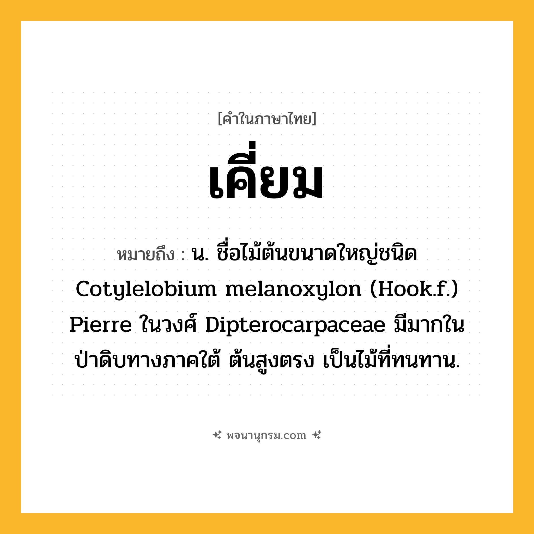 เคี่ยม ความหมาย หมายถึงอะไร?, คำในภาษาไทย เคี่ยม หมายถึง น. ชื่อไม้ต้นขนาดใหญ่ชนิด Cotylelobium melanoxylon (Hook.f.) Pierre ในวงศ์ Dipterocarpaceae มีมากในป่าดิบทางภาคใต้ ต้นสูงตรง เป็นไม้ที่ทนทาน.