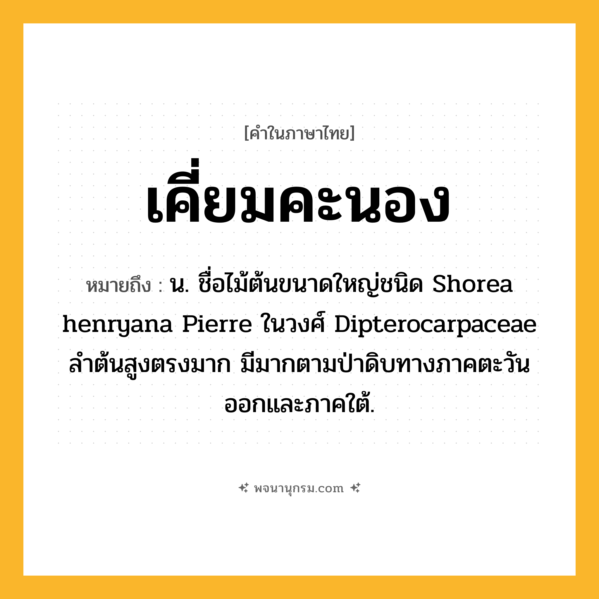 เคี่ยมคะนอง ความหมาย หมายถึงอะไร?, คำในภาษาไทย เคี่ยมคะนอง หมายถึง น. ชื่อไม้ต้นขนาดใหญ่ชนิด Shorea henryana Pierre ในวงศ์ Dipterocarpaceae ลําต้นสูงตรงมาก มีมากตามป่าดิบทางภาคตะวันออกและภาคใต้.