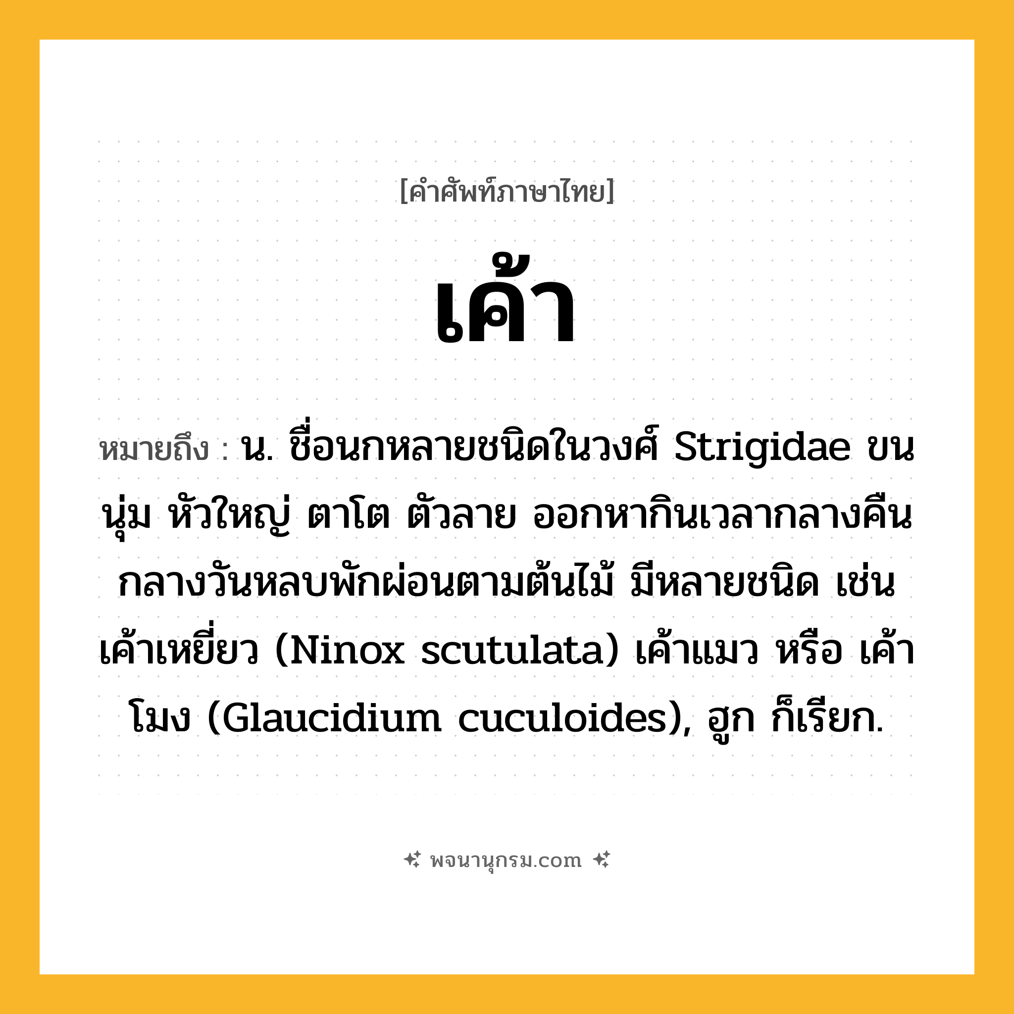 เค้า ความหมาย หมายถึงอะไร?, คำในภาษาไทย เค้า หมายถึง น. ชื่อนกหลายชนิดในวงศ์ Strigidae ขนนุ่ม หัวใหญ่ ตาโต ตัวลาย ออกหากินเวลากลางคืน กลางวันหลบพักผ่อนตามต้นไม้ มีหลายชนิด เช่น เค้าเหยี่ยว (Ninox scutulata) เค้าแมว หรือ เค้าโมง (Glaucidium cuculoides), ฮูก ก็เรียก.