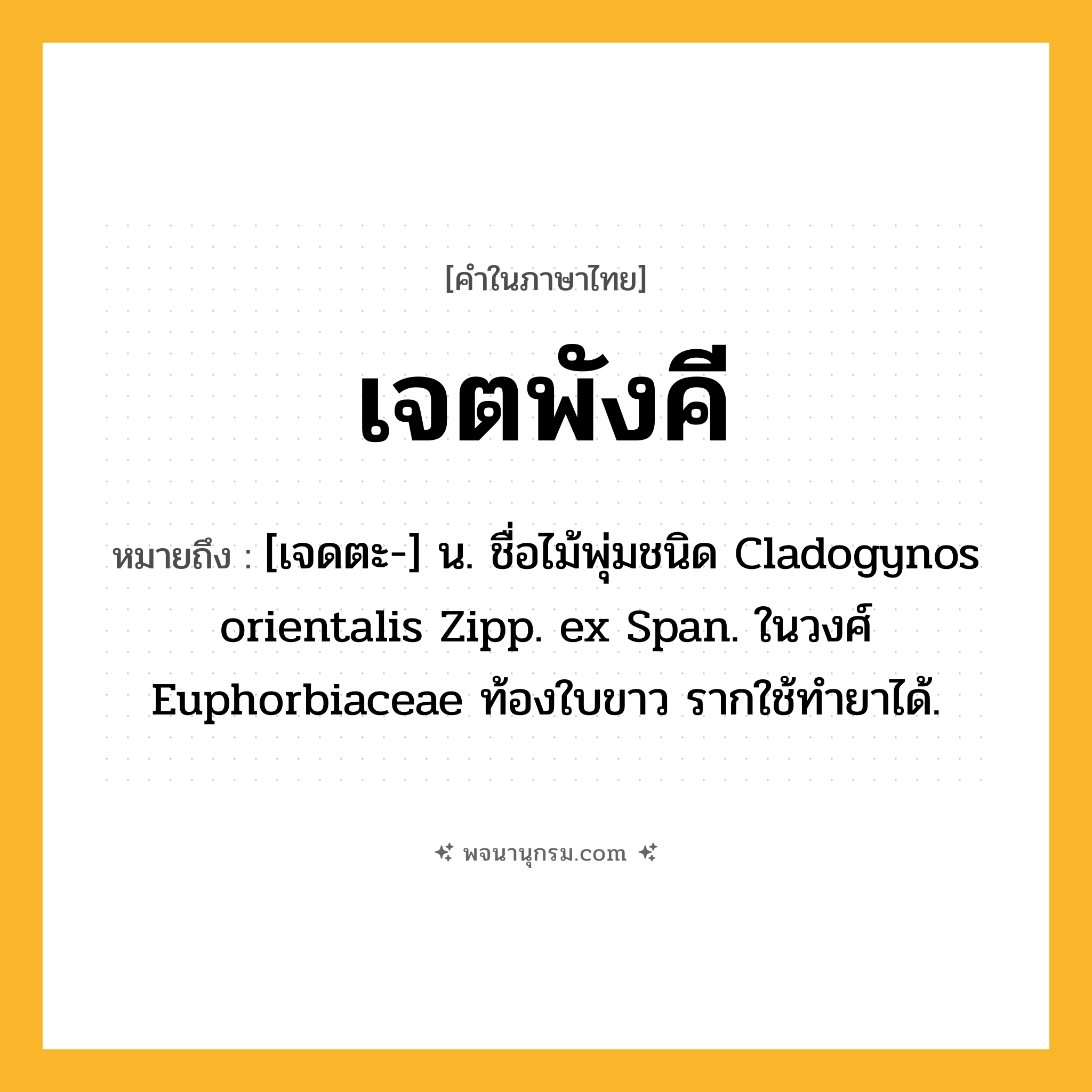 เจตพังคี ความหมาย หมายถึงอะไร?, คำในภาษาไทย เจตพังคี หมายถึง [เจดตะ-] น. ชื่อไม้พุ่มชนิด Cladogynos orientalis Zipp. ex Span. ในวงศ์ Euphorbiaceae ท้องใบขาว รากใช้ทํายาได้.