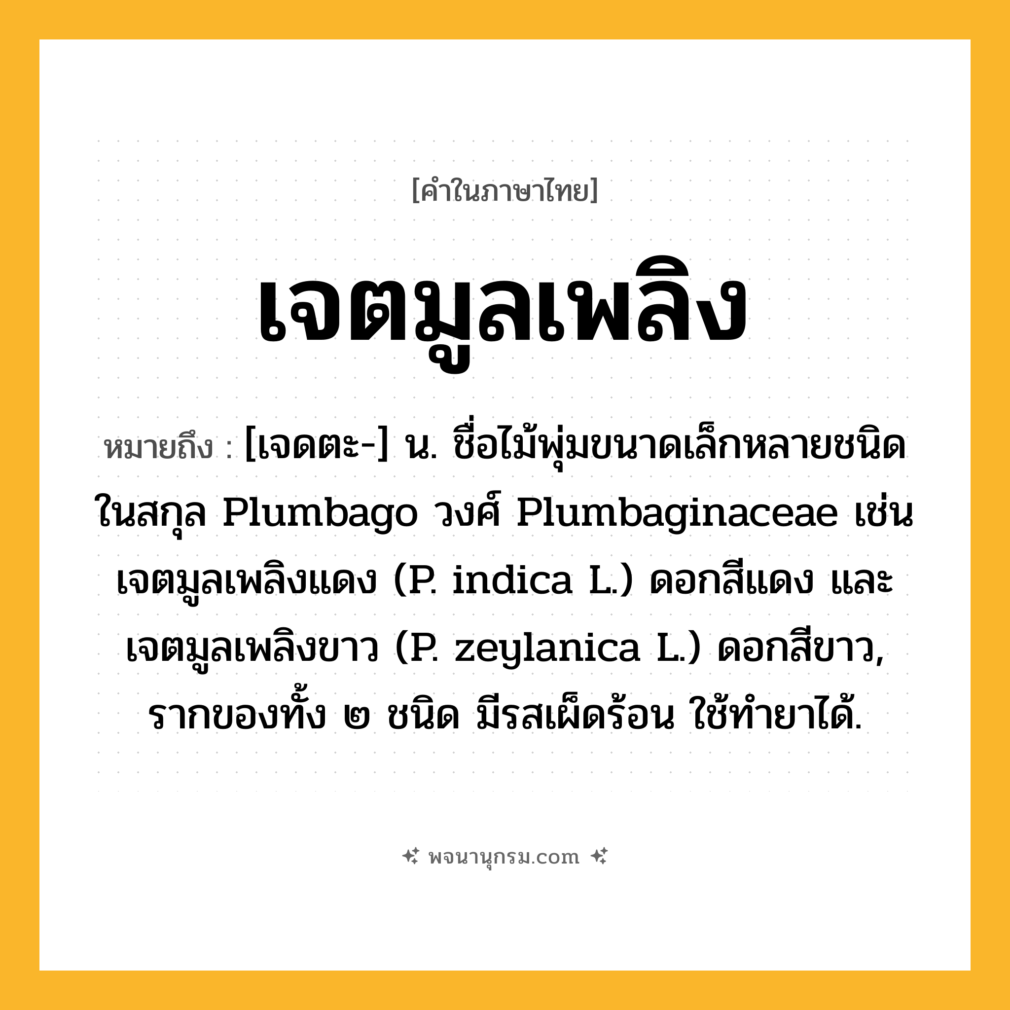 เจตมูลเพลิง ความหมาย หมายถึงอะไร?, คำในภาษาไทย เจตมูลเพลิง หมายถึง [เจดตะ-] น. ชื่อไม้พุ่มขนาดเล็กหลายชนิดในสกุล Plumbago วงศ์ Plumbaginaceae เช่น เจตมูลเพลิงแดง (P. indica L.) ดอกสีแดง และ เจตมูลเพลิงขาว (P. zeylanica L.) ดอกสีขาว, รากของทั้ง ๒ ชนิด มีรสเผ็ดร้อน ใช้ทํายาได้.