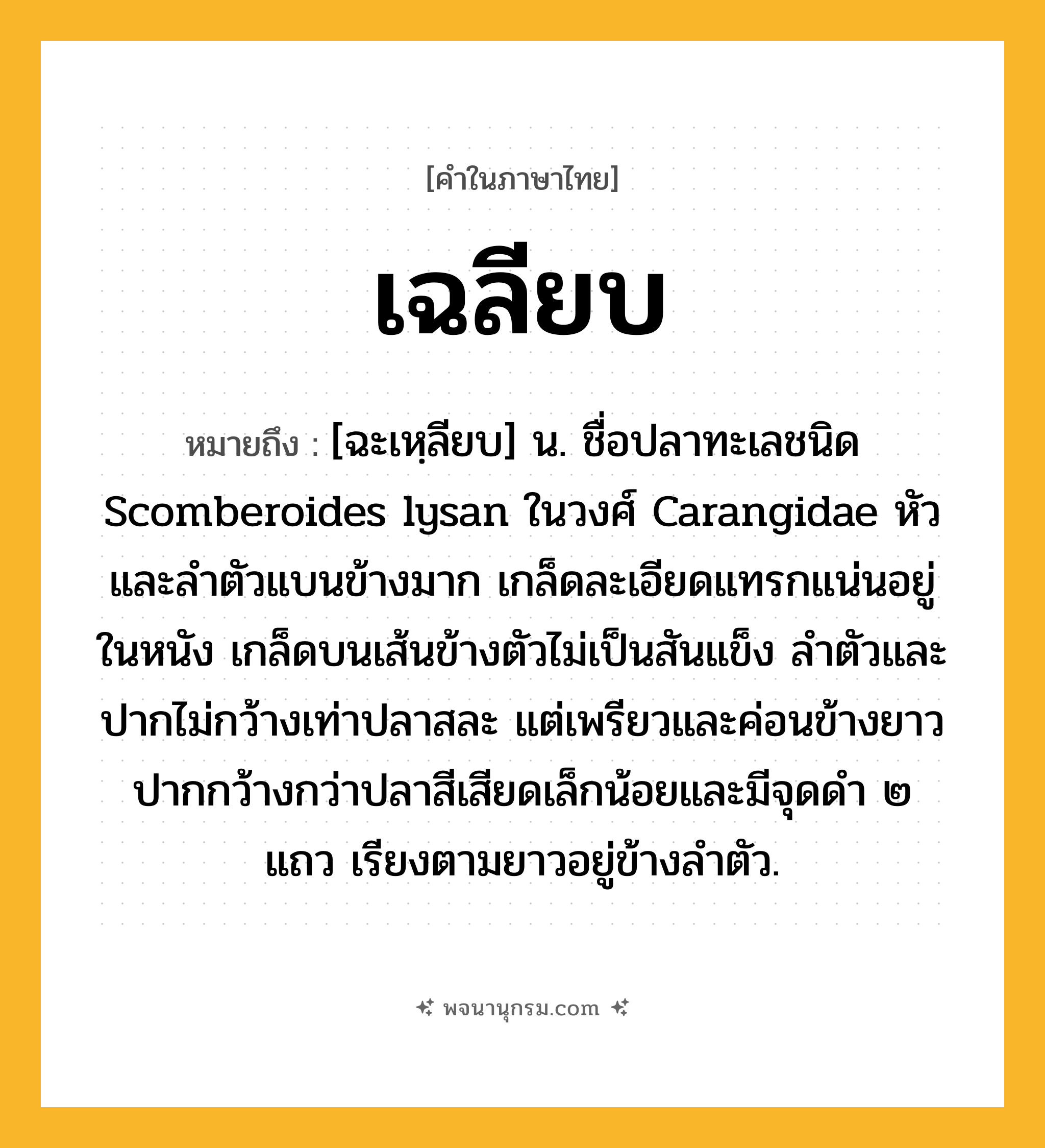 เฉลียบ ความหมาย หมายถึงอะไร?, คำในภาษาไทย เฉลียบ หมายถึง [ฉะเหฺลียบ] น. ชื่อปลาทะเลชนิด Scomberoides lysan ในวงศ์ Carangidae หัวและลําตัวแบนข้างมาก เกล็ดละเอียดแทรกแน่นอยู่ในหนัง เกล็ดบนเส้นข้างตัวไม่เป็นสันแข็ง ลําตัวและปากไม่กว้างเท่าปลาสละ แต่เพรียวและค่อนข้างยาว ปากกว้างกว่าปลาสีเสียดเล็กน้อยและมีจุดดํา ๒ แถว เรียงตามยาวอยู่ข้างลําตัว.