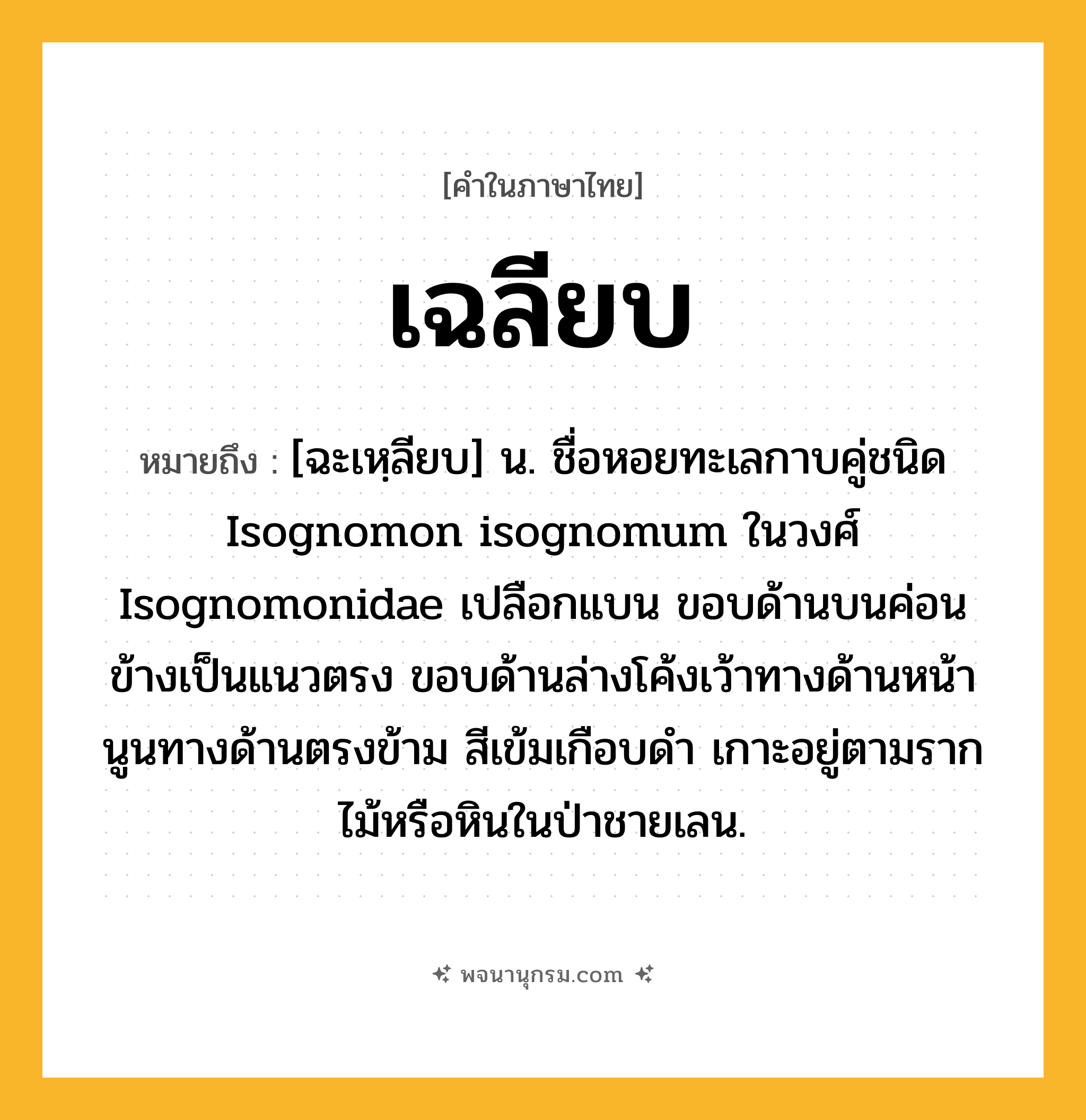 เฉลียบ ความหมาย หมายถึงอะไร?, คำในภาษาไทย เฉลียบ หมายถึง [ฉะเหฺลียบ] น. ชื่อหอยทะเลกาบคู่ชนิด Isognomon isognomum ในวงศ์ Isognomonidae เปลือกแบน ขอบด้านบนค่อนข้างเป็นแนวตรง ขอบด้านล่างโค้งเว้าทางด้านหน้า นูนทางด้านตรงข้าม สีเข้มเกือบดำ เกาะอยู่ตามรากไม้หรือหินในป่าชายเลน.
