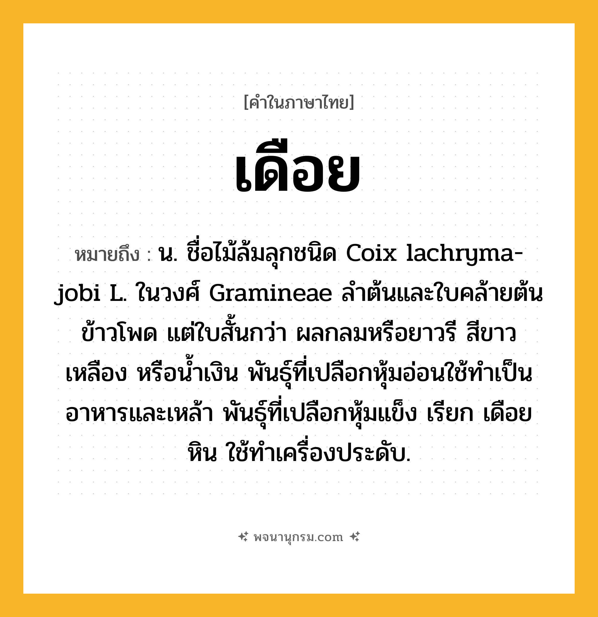 เดือย ความหมาย หมายถึงอะไร?, คำในภาษาไทย เดือย หมายถึง น. ชื่อไม้ล้มลุกชนิด Coix lachryma-jobi L. ในวงศ์ Gramineae ลําต้นและใบคล้ายต้นข้าวโพด แต่ใบสั้นกว่า ผลกลมหรือยาวรี สีขาว เหลือง หรือนํ้าเงิน พันธุ์ที่เปลือกหุ้มอ่อนใช้ทําเป็นอาหารและเหล้า พันธุ์ที่เปลือกหุ้มแข็ง เรียก เดือยหิน ใช้ทําเครื่องประดับ.