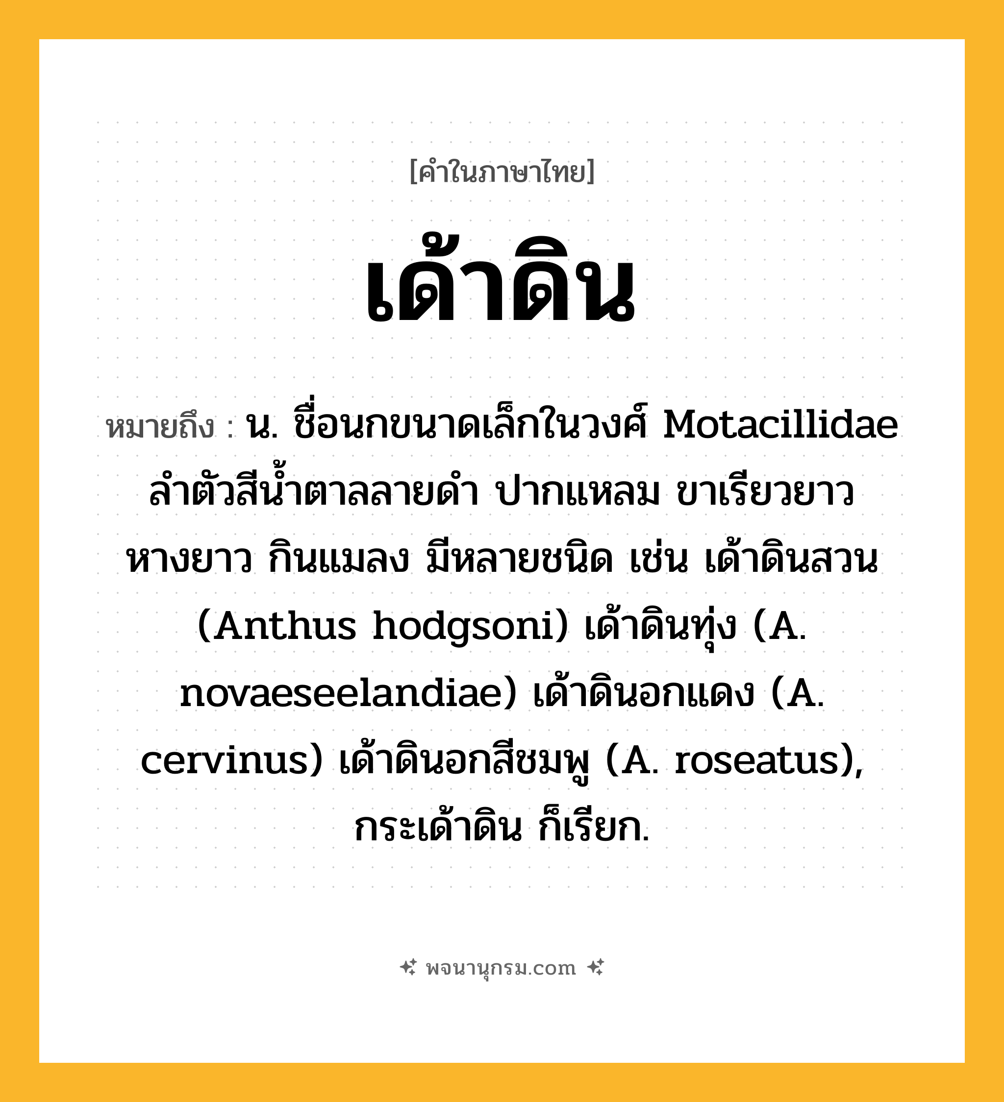 เด้าดิน ความหมาย หมายถึงอะไร?, คำในภาษาไทย เด้าดิน หมายถึง น. ชื่อนกขนาดเล็กในวงศ์ Motacillidae ลําตัวสีนํ้าตาลลายดํา ปากแหลม ขาเรียวยาว หางยาว กินแมลง มีหลายชนิด เช่น เด้าดินสวน (Anthus hodgsoni) เด้าดินทุ่ง (A. novaeseelandiae) เด้าดินอกแดง (A. cervinus) เด้าดินอกสีชมพู (A. roseatus), กระเด้าดิน ก็เรียก.