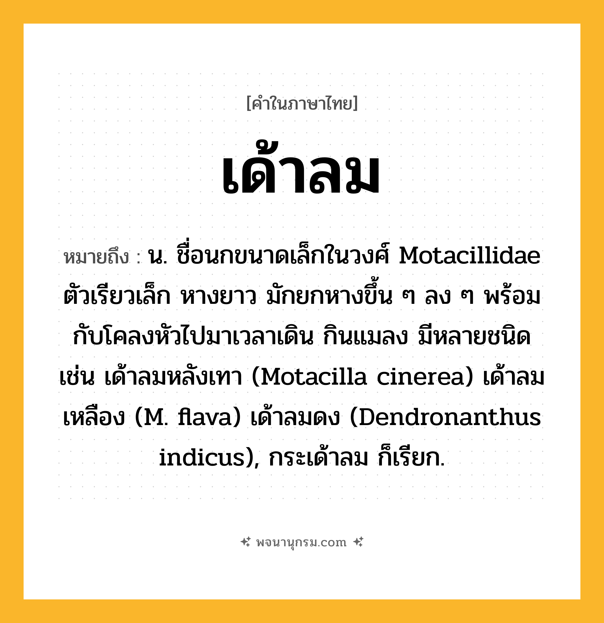 เด้าลม ความหมาย หมายถึงอะไร?, คำในภาษาไทย เด้าลม หมายถึง น. ชื่อนกขนาดเล็กในวงศ์ Motacillidae ตัวเรียวเล็ก หางยาว มักยกหางขึ้น ๆ ลง ๆ พร้อมกับโคลงหัวไปมาเวลาเดิน กินแมลง มีหลายชนิด เช่น เด้าลมหลังเทา (Motacilla cinerea) เด้าลมเหลือง (M. flava) เด้าลมดง (Dendronanthus indicus), กระเด้าลม ก็เรียก.