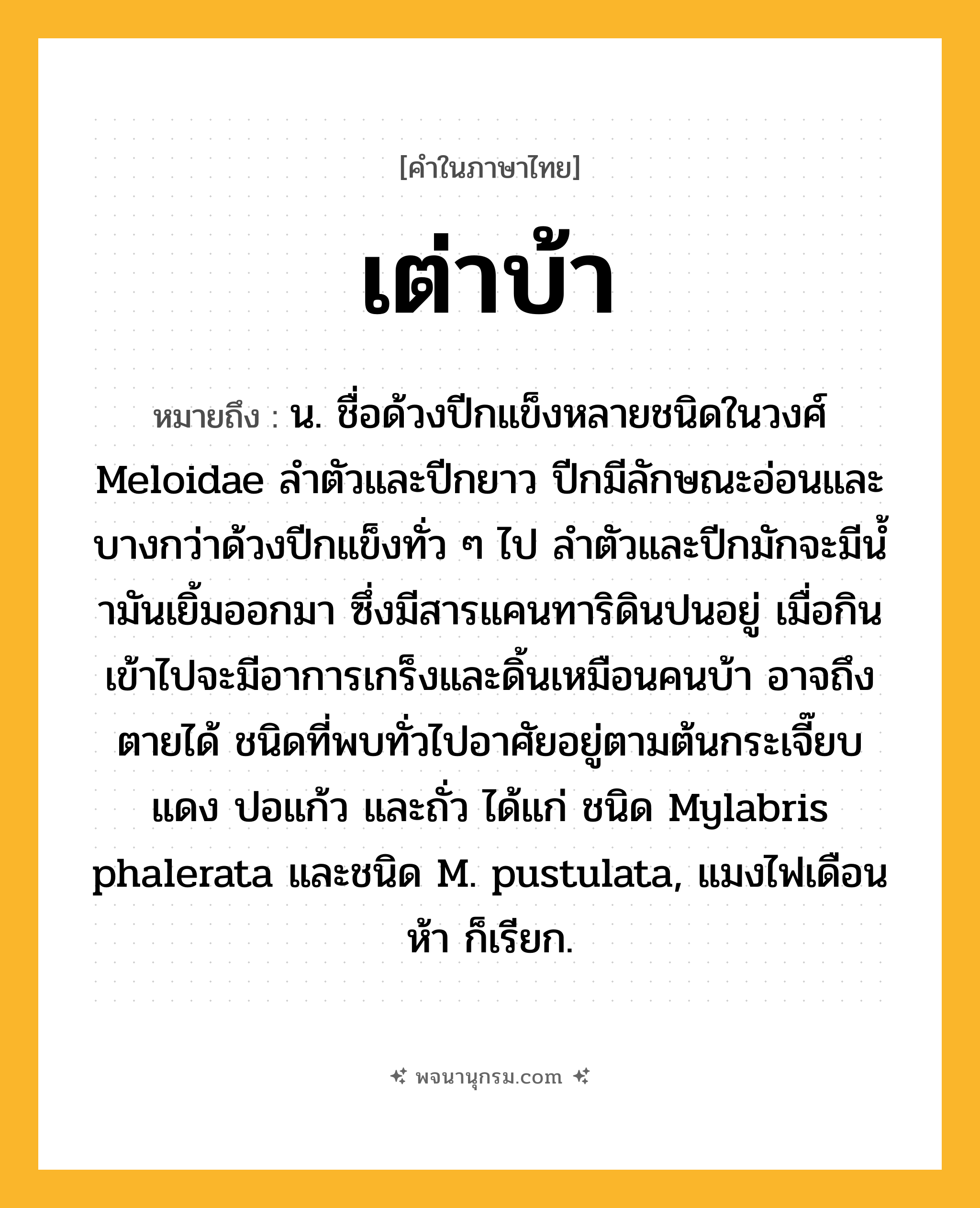 เต่าบ้า ความหมาย หมายถึงอะไร?, คำในภาษาไทย เต่าบ้า หมายถึง น. ชื่อด้วงปีกแข็งหลายชนิดในวงศ์ Meloidae ลําตัวและปีกยาว ปีกมีลักษณะอ่อนและบางกว่าด้วงปีกแข็งทั่ว ๆ ไป ลําตัวและปีกมักจะมีนํ้ามันเยิ้มออกมา ซึ่งมีสารแคนทาริดินปนอยู่ เมื่อกินเข้าไปจะมีอาการเกร็งและดิ้นเหมือนคนบ้า อาจถึงตายได้ ชนิดที่พบทั่วไปอาศัยอยู่ตามต้นกระเจี๊ยบแดง ปอแก้ว และถั่ว ได้แก่ ชนิด Mylabris phalerata และชนิด M. pustulata, แมงไฟเดือนห้า ก็เรียก.
