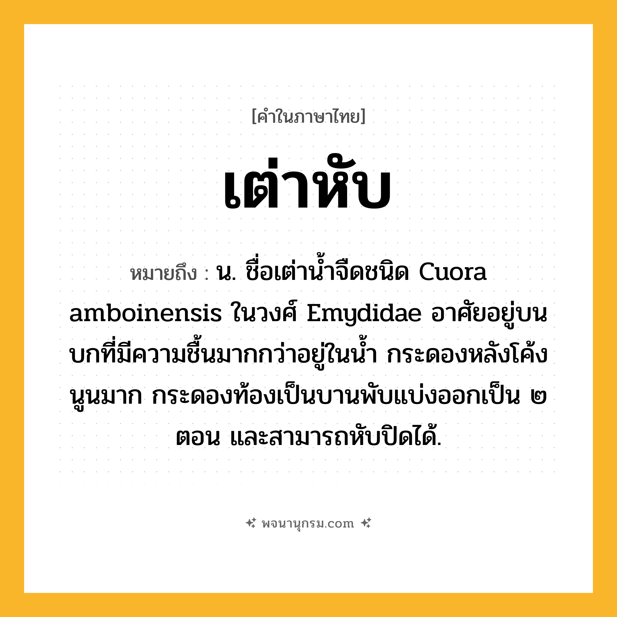 เต่าหับ ความหมาย หมายถึงอะไร?, คำในภาษาไทย เต่าหับ หมายถึง น. ชื่อเต่านํ้าจืดชนิด Cuora amboinensis ในวงศ์ Emydidae อาศัยอยู่บนบกที่มีความชื้นมากกว่าอยู่ในนํ้า กระดองหลังโค้งนูนมาก กระดองท้องเป็นบานพับแบ่งออกเป็น ๒ ตอน และสามารถหับปิดได้.